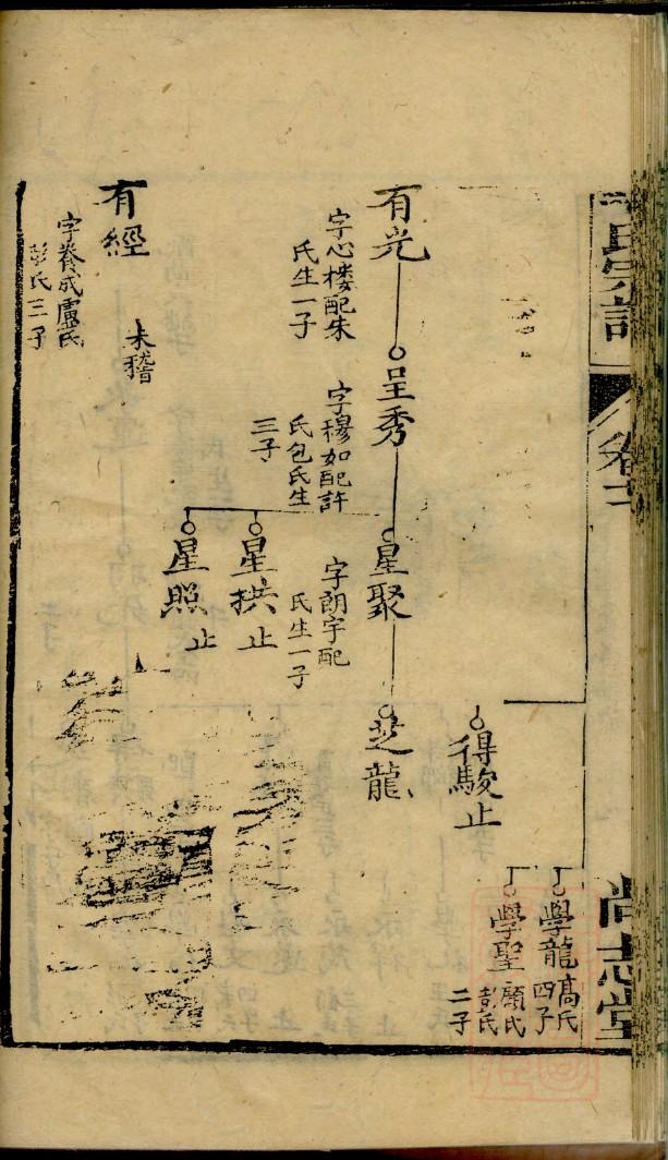 柳姓起源来历和祖先是谁