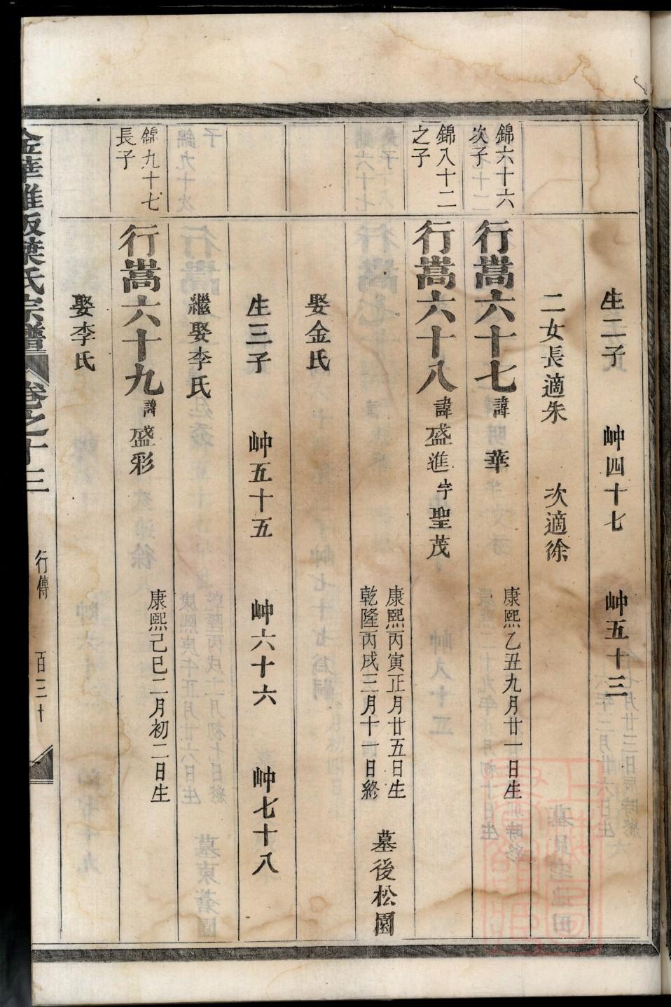家谱的制作软件