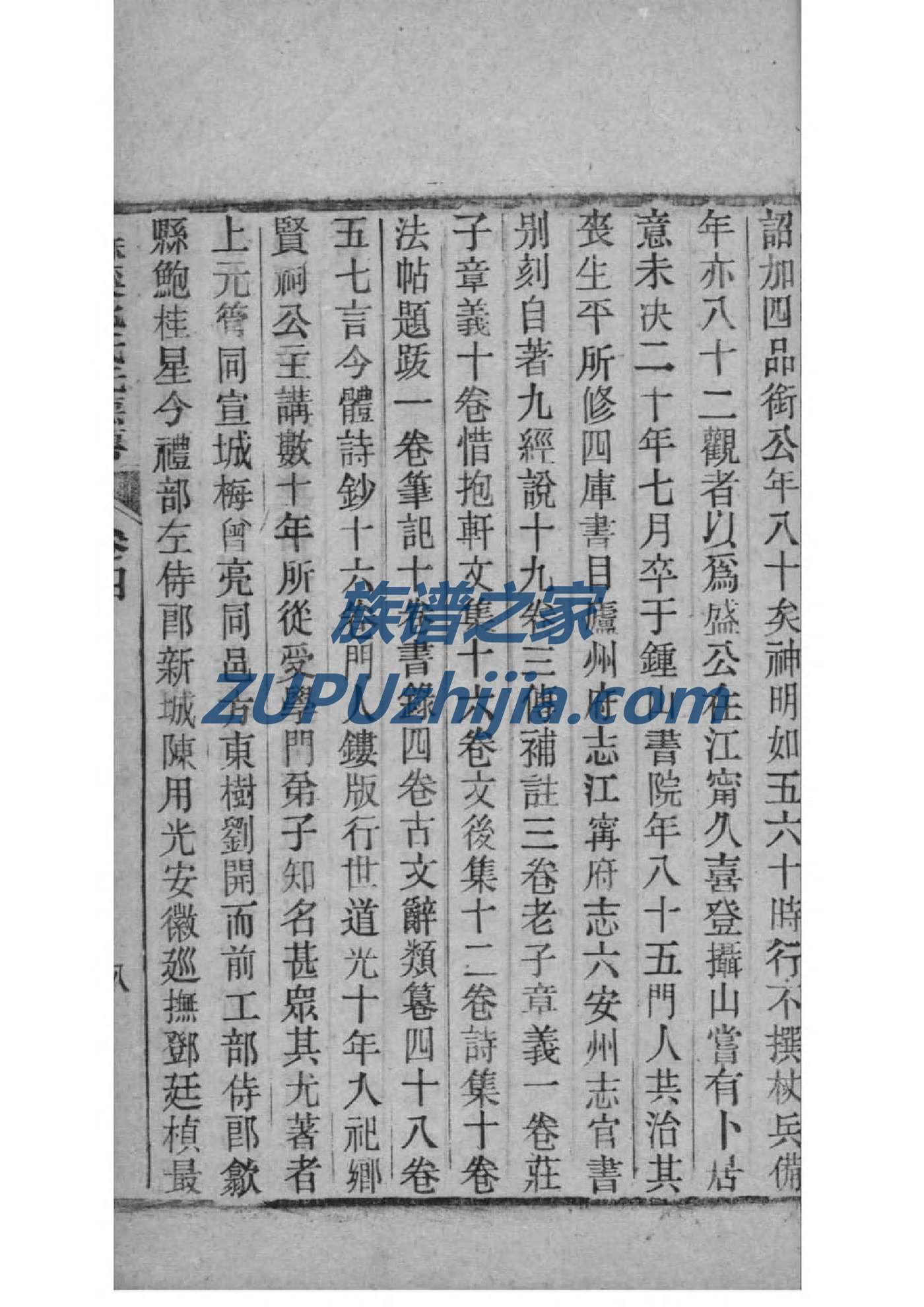 实氏族谱电子版
