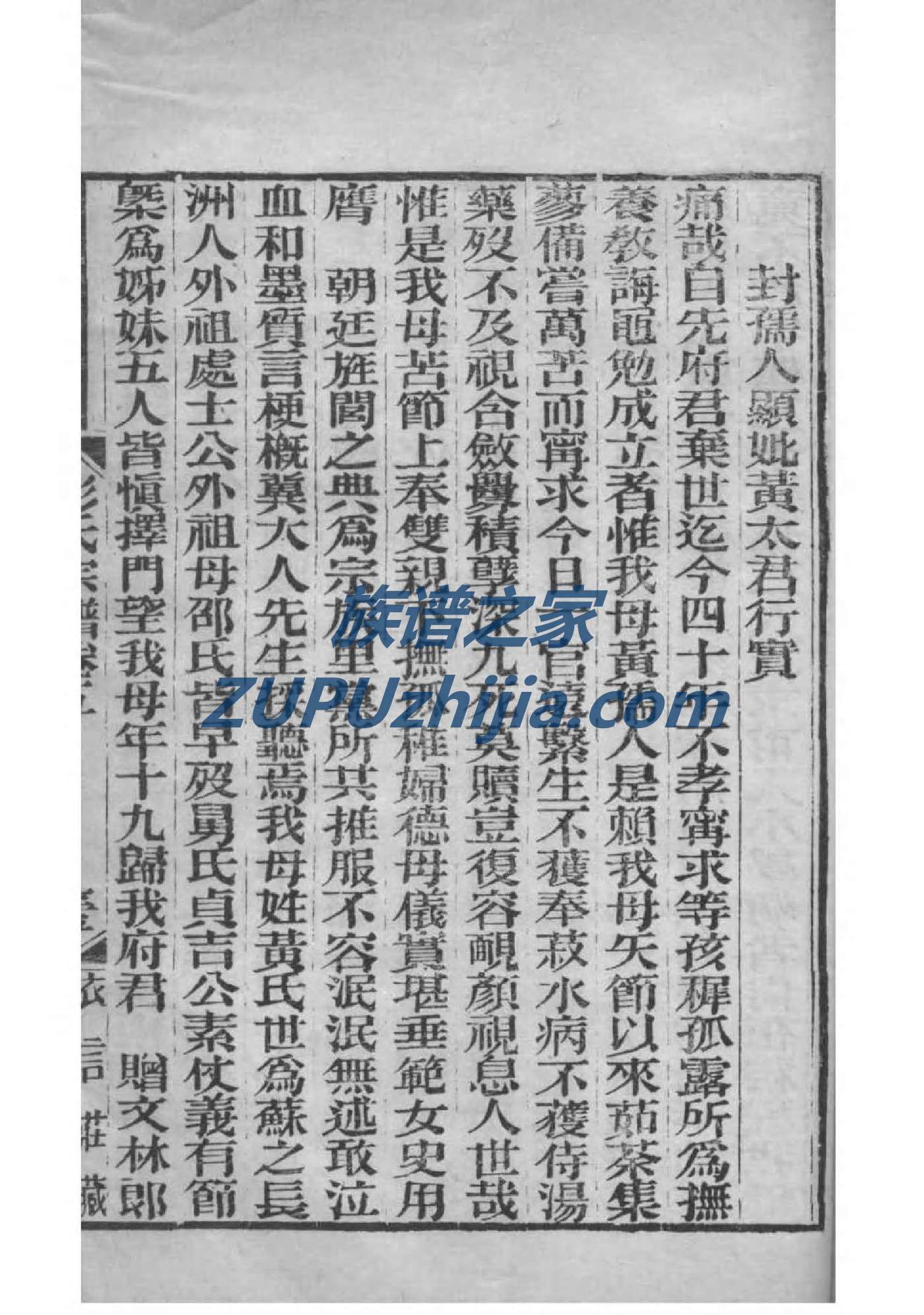奥特曼的族谱图片