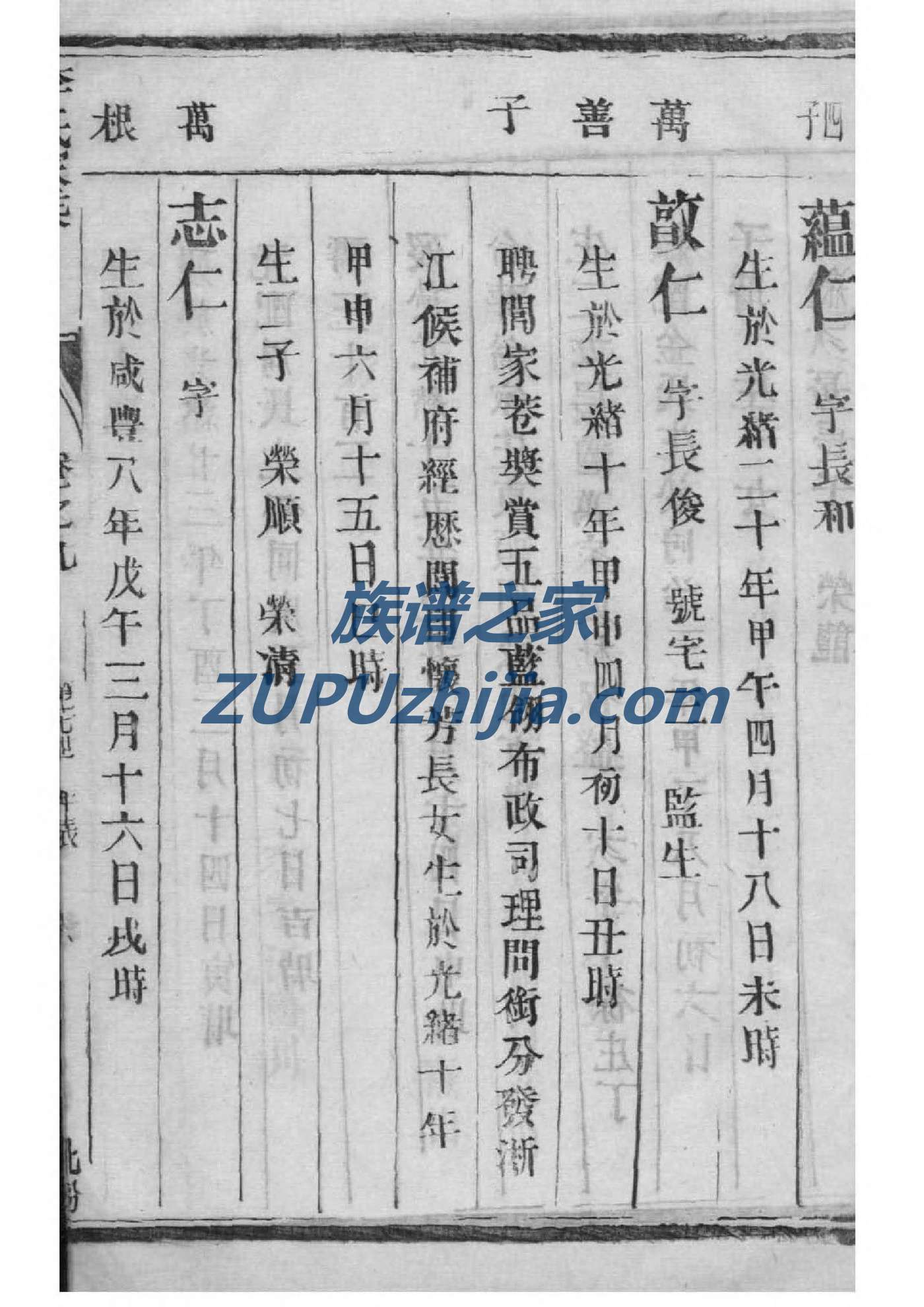 乙氏族谱完整版