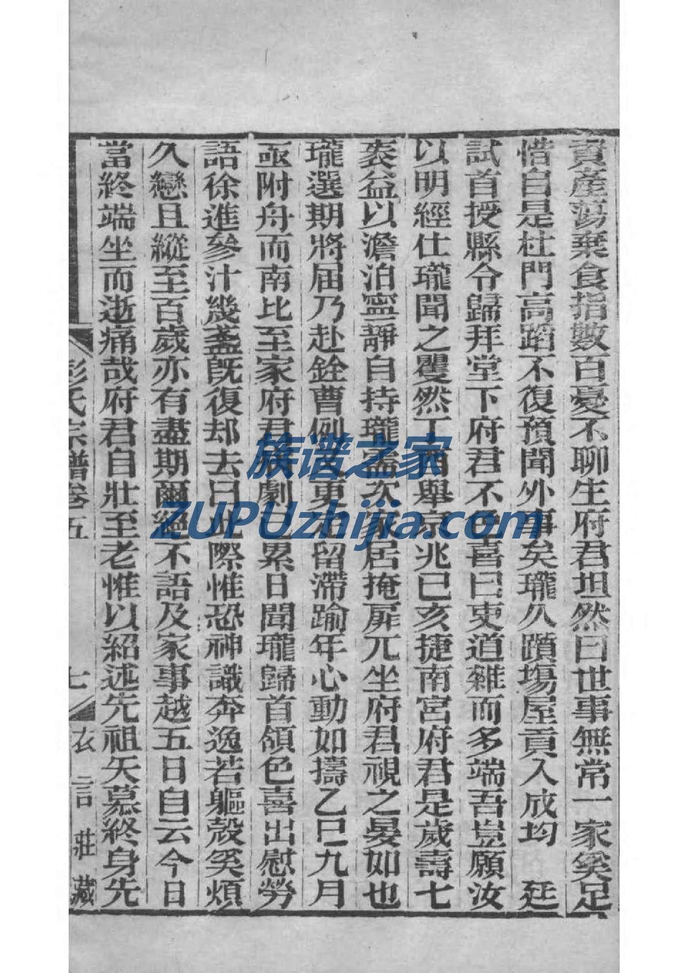 戴氏族谱河南分支