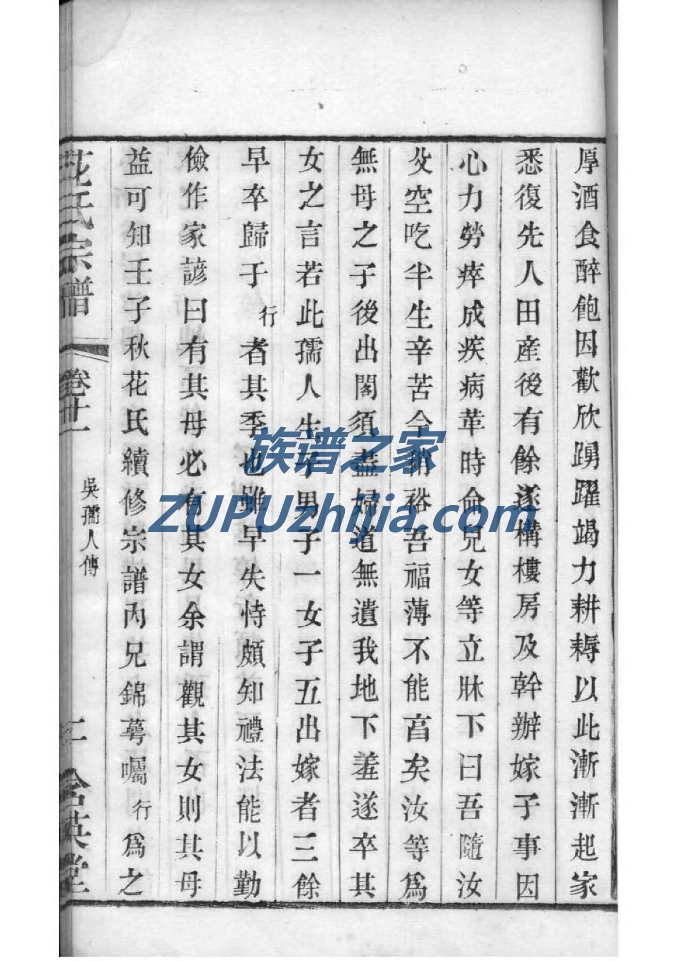 PPT怎么制作家谱图