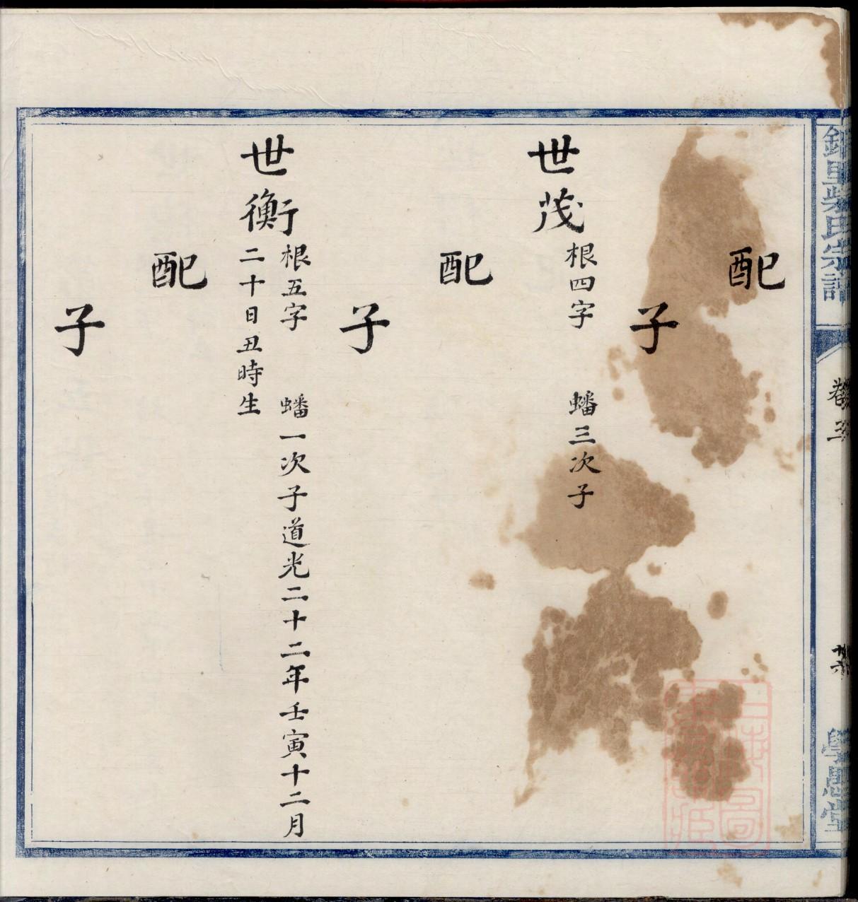 陆家族谱