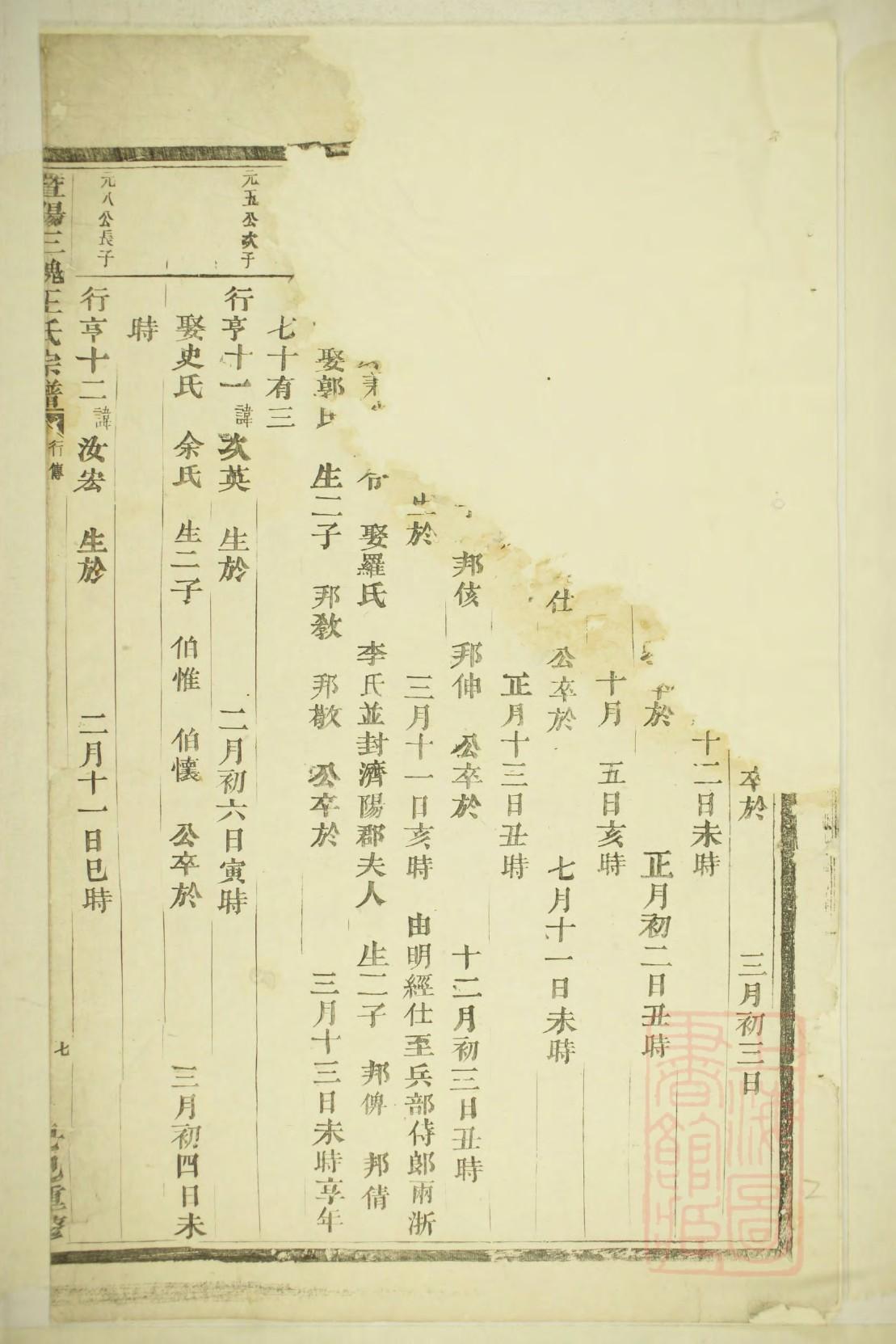 家谱制作模板DOC