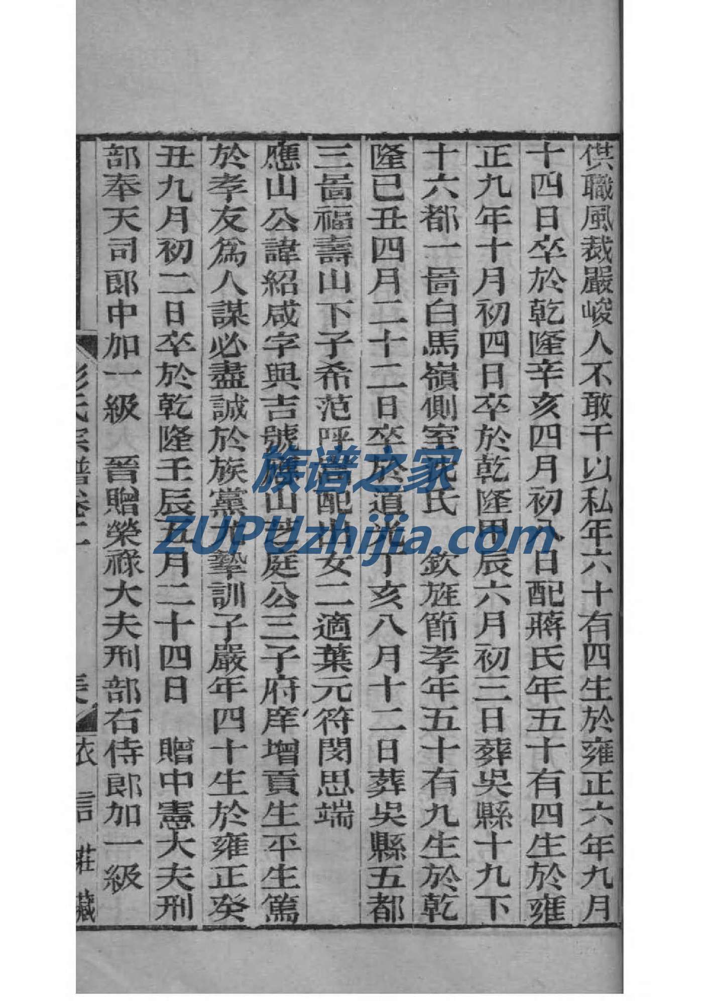 姓氏族谱