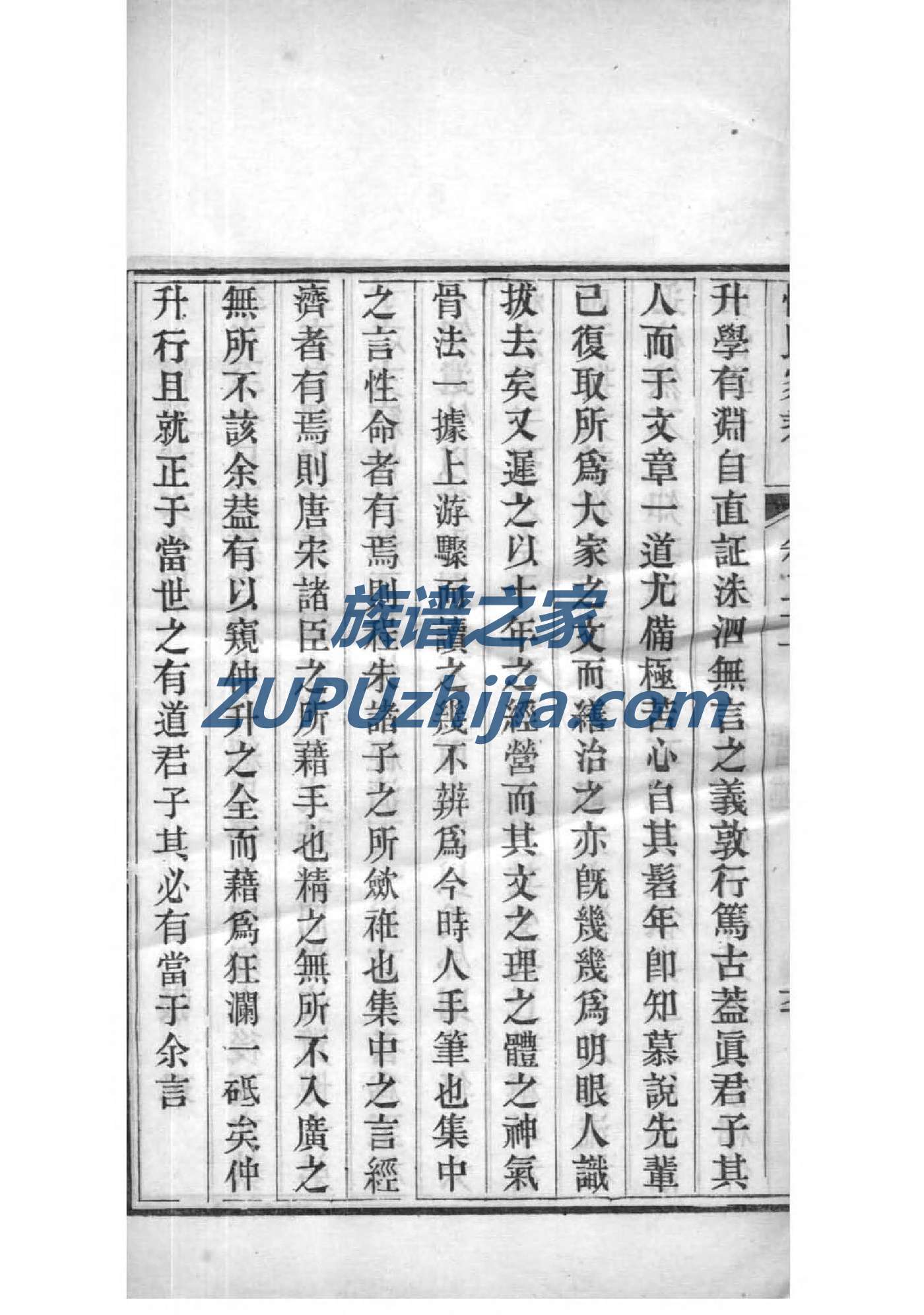 示家族谱查询