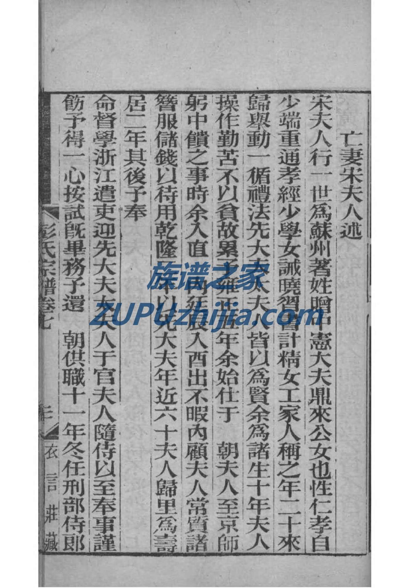 族谱家谱制作表格