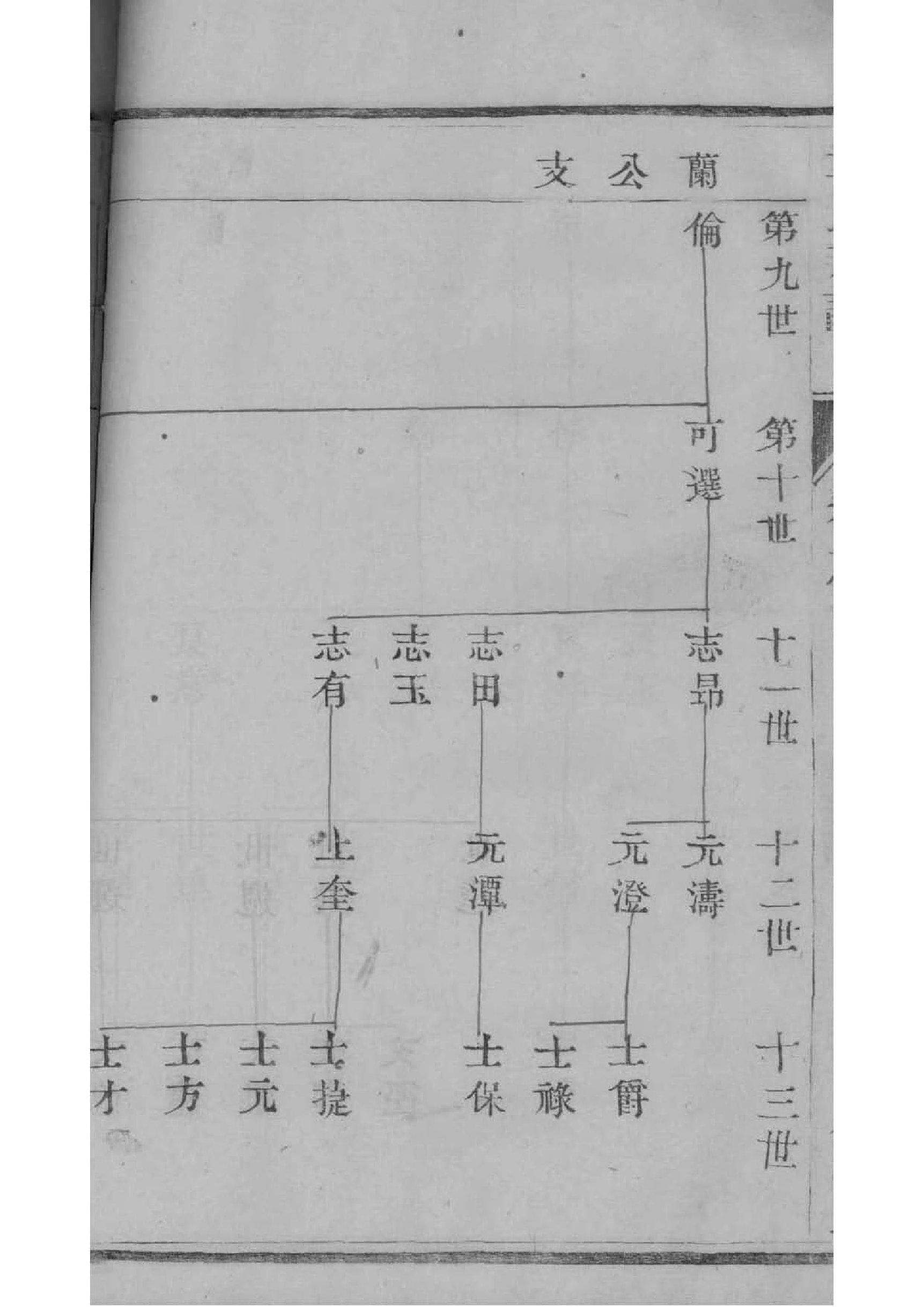 求氏族谱的收藏价值