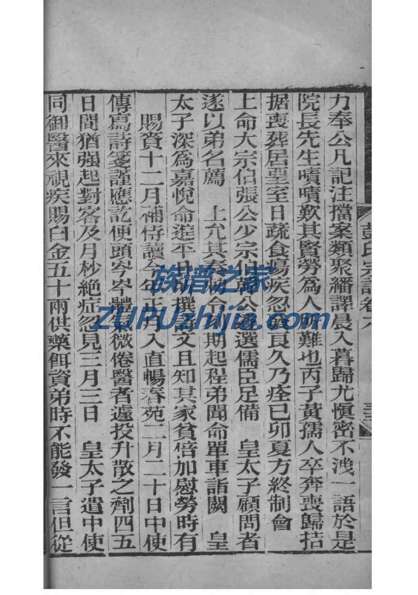 太叔氏族谱电子版