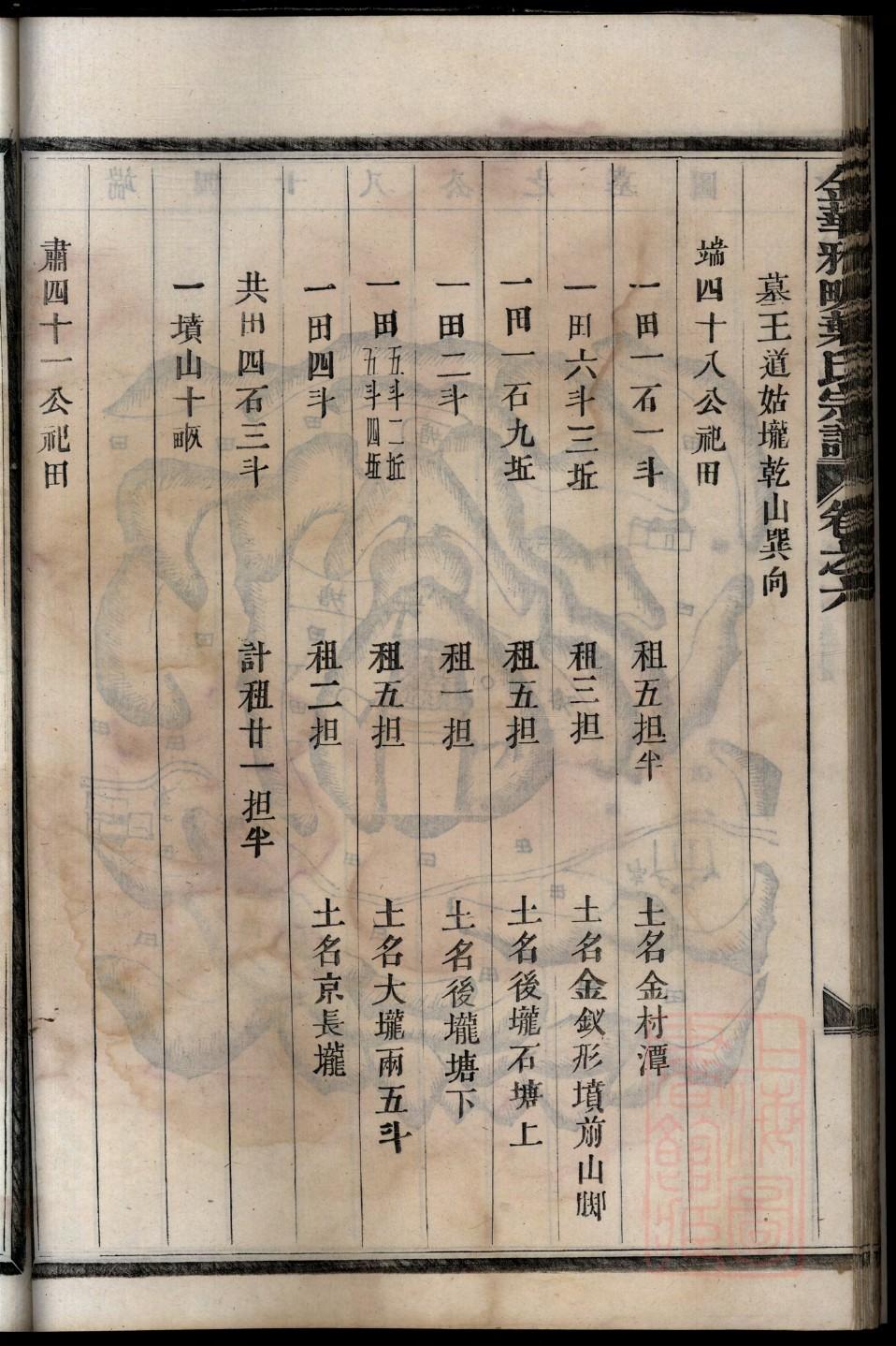 家谱世系图制作工具