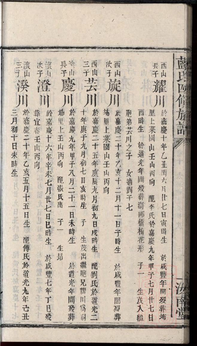 皮氏的起源
