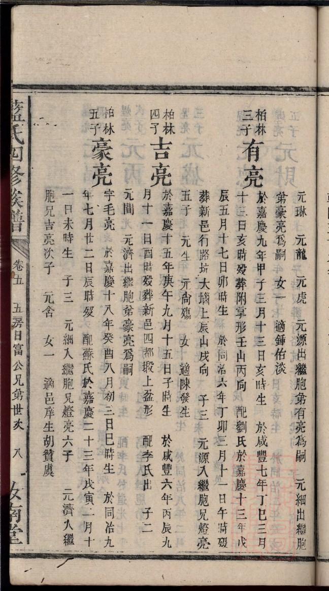 怎样制作家谱图表