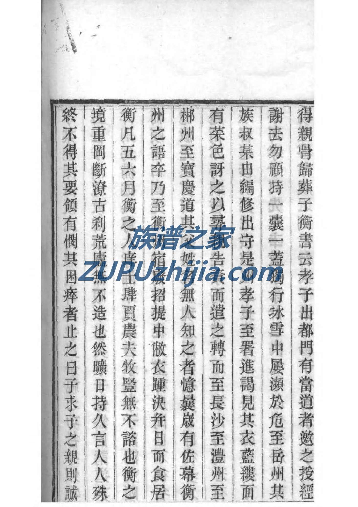 查家家谱查询