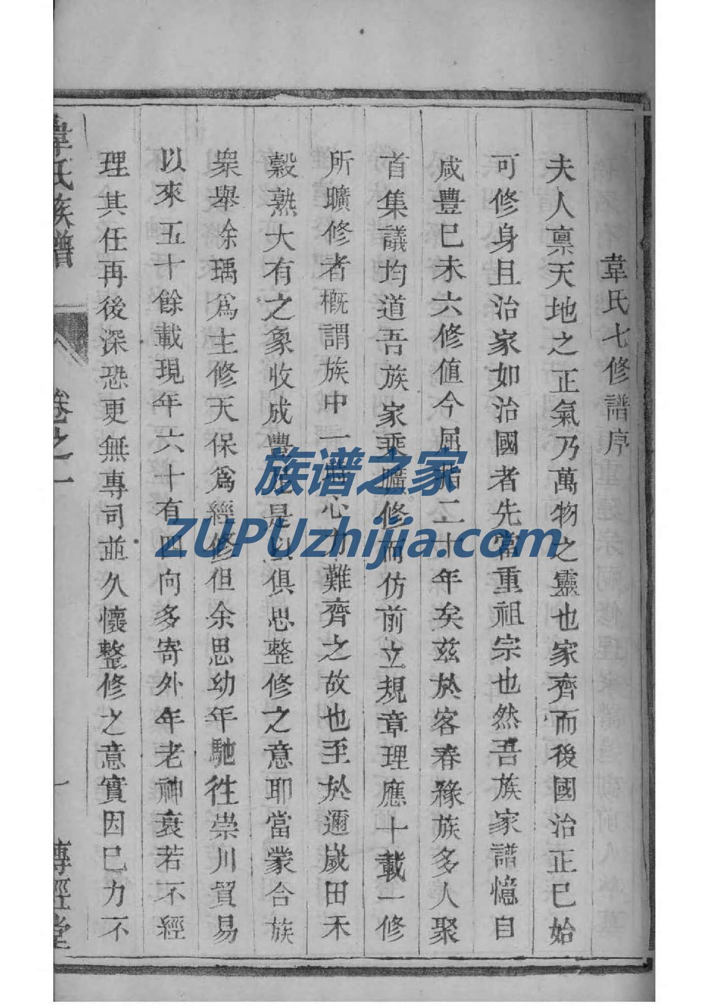万家族谱