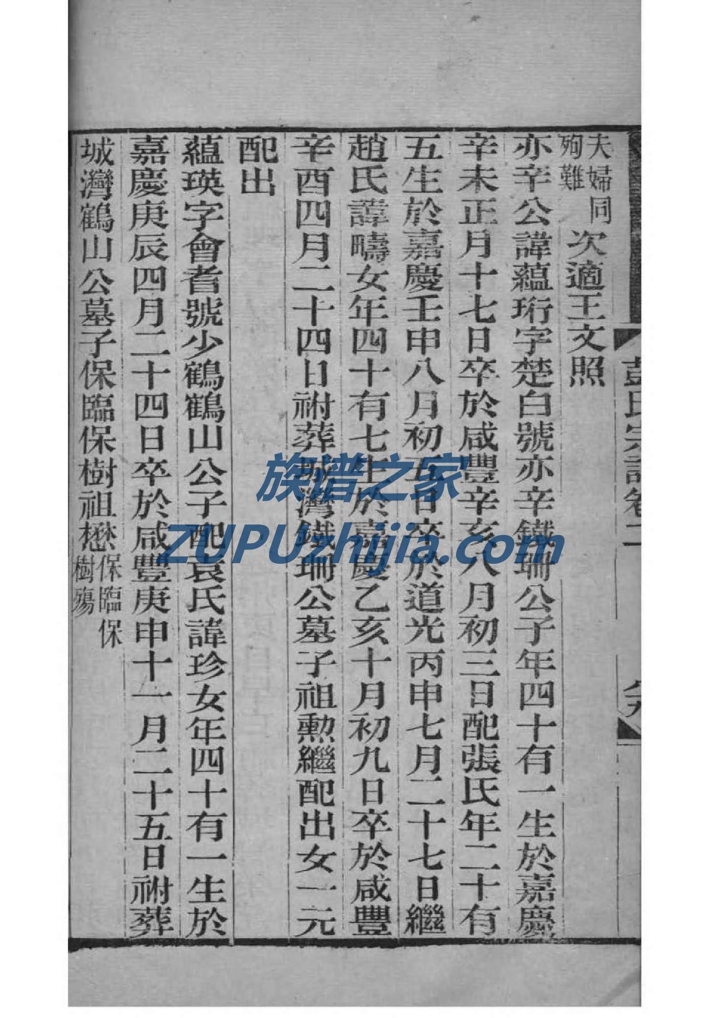 张氏族谱字辈大全