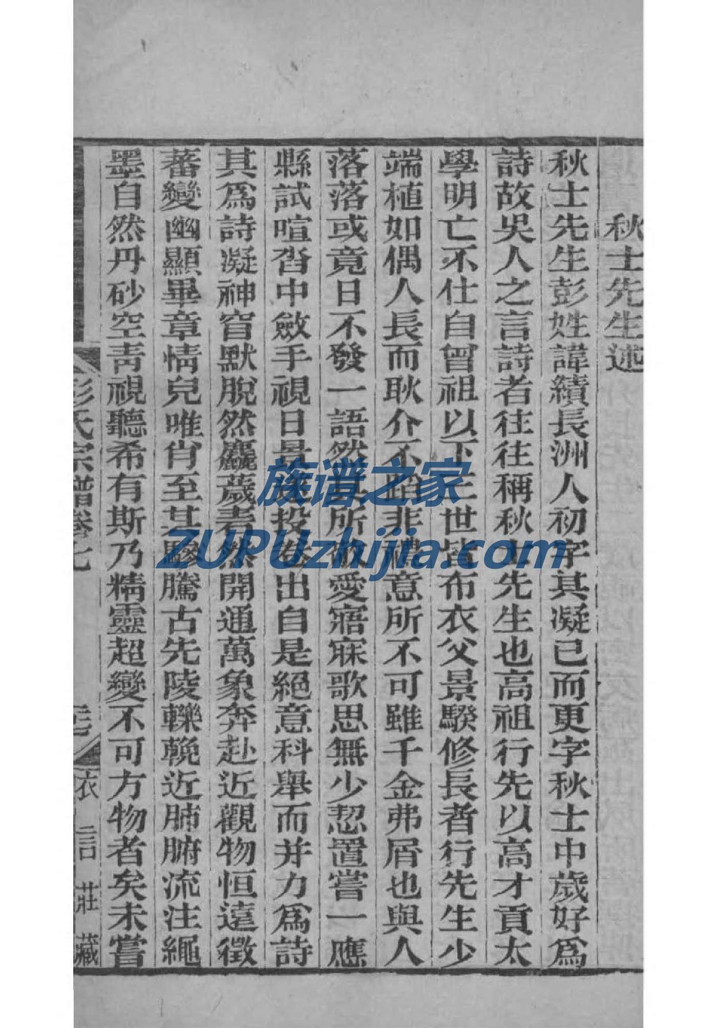 养氏族谱的收藏价值