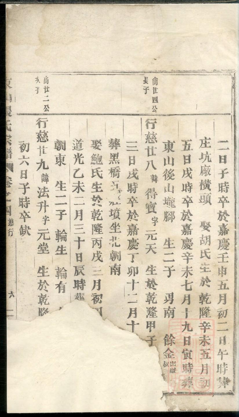 家谱制作表格