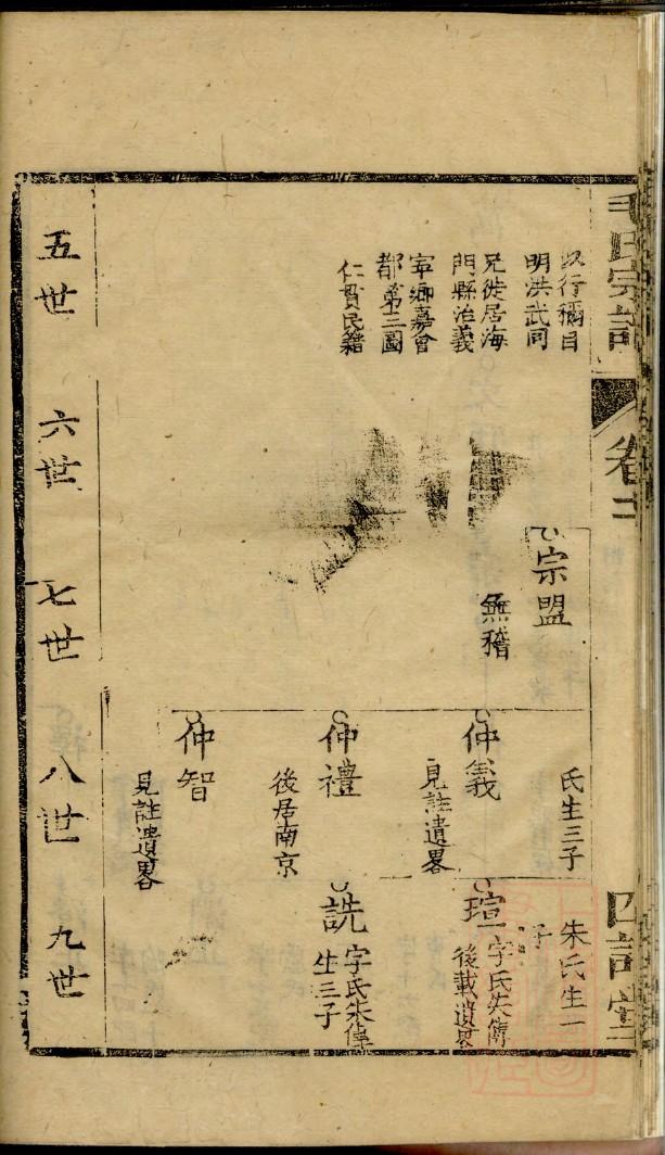 陈旺公族谱分支图