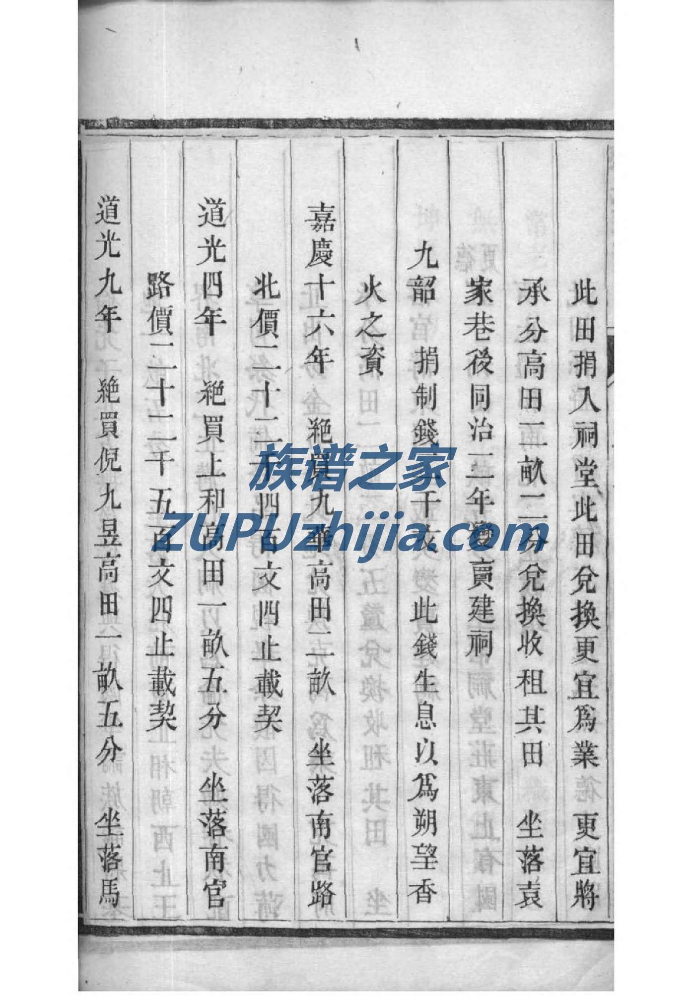 廖氏族谱福建分支