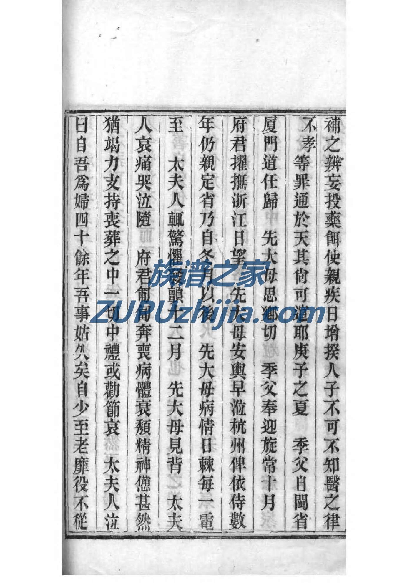 族谱人流哪家好
