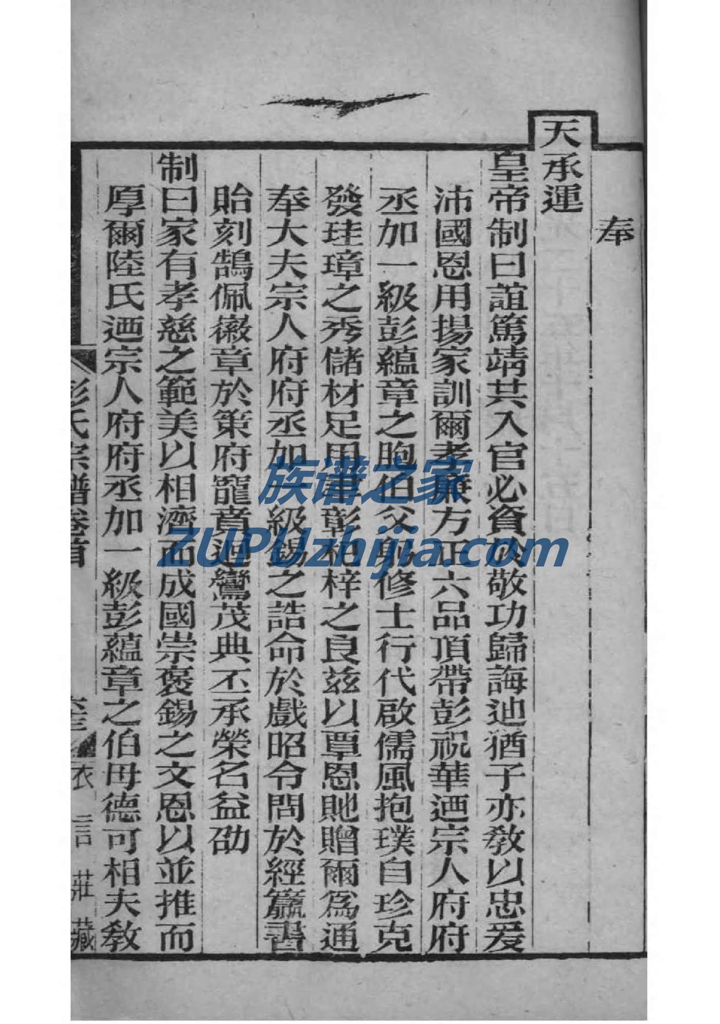 皋姓家谱辈分表