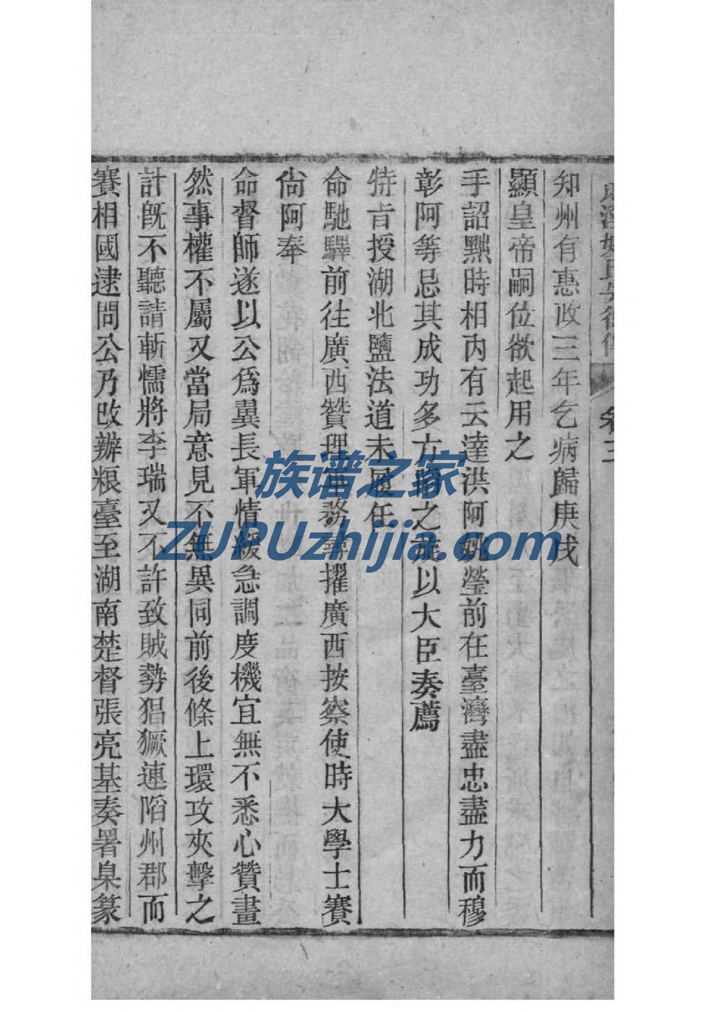 族谱网费用