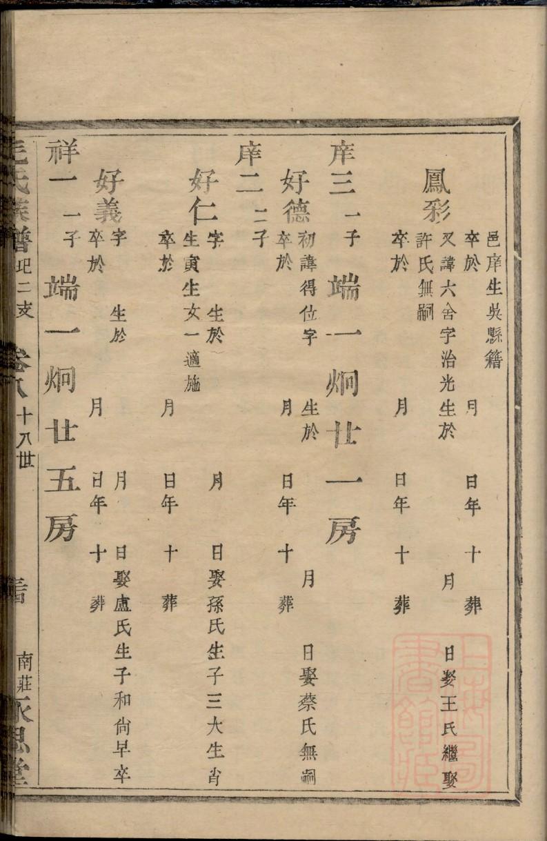 绘制族谱