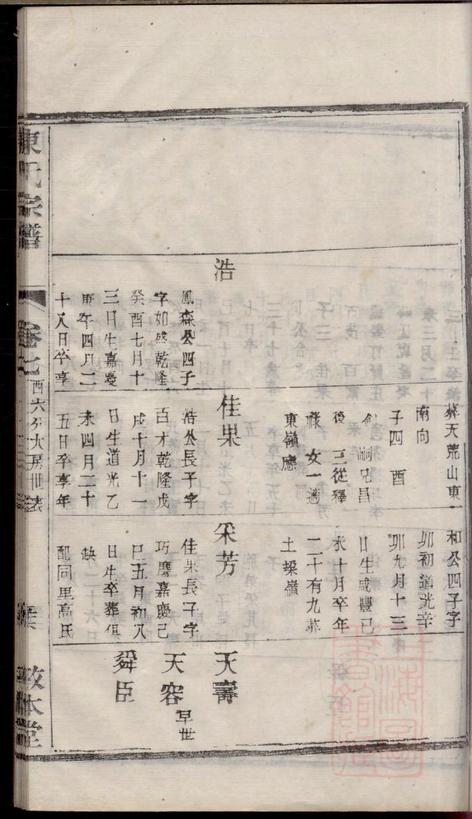 族谱什么意思
