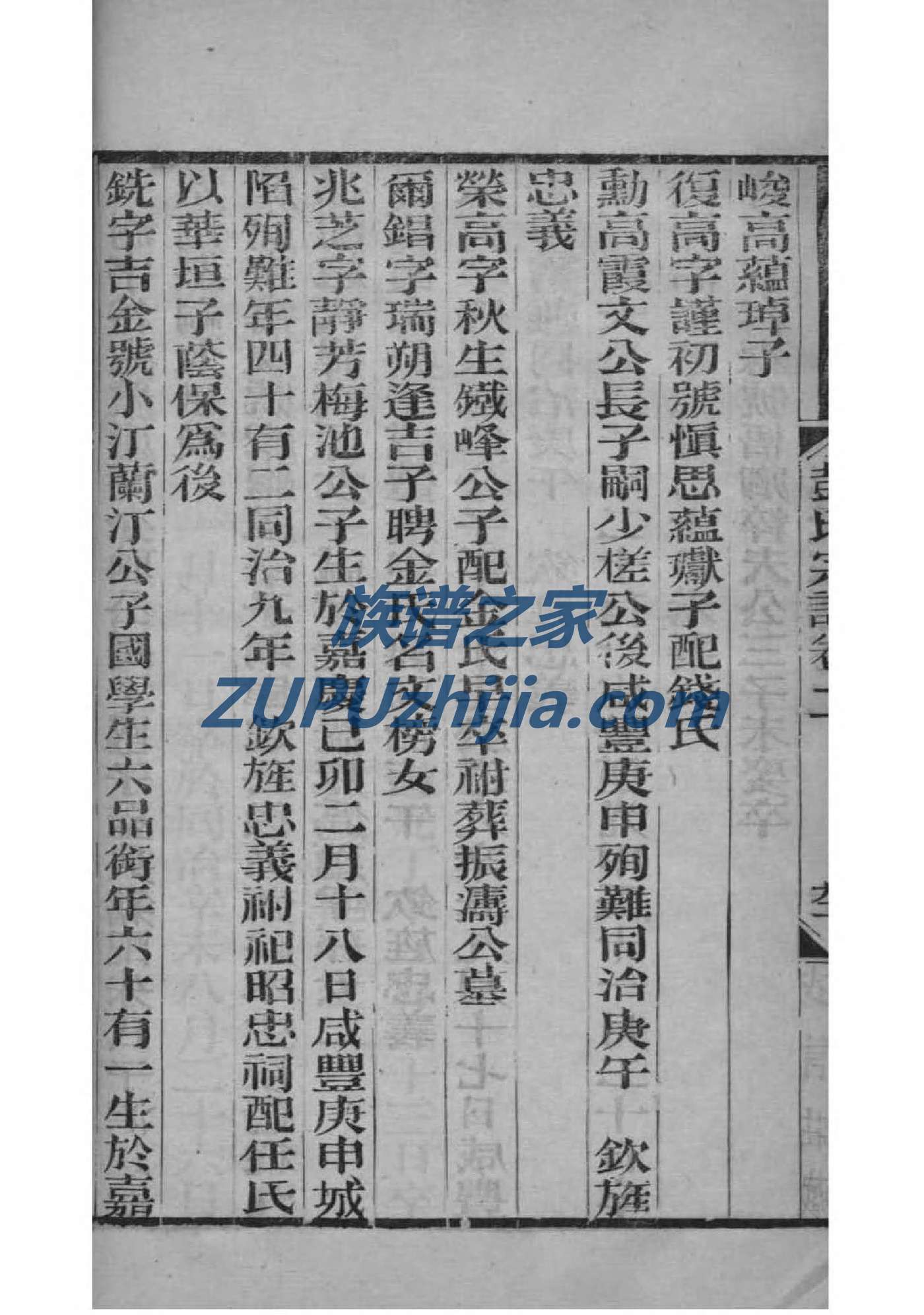 双姓家谱辈分表