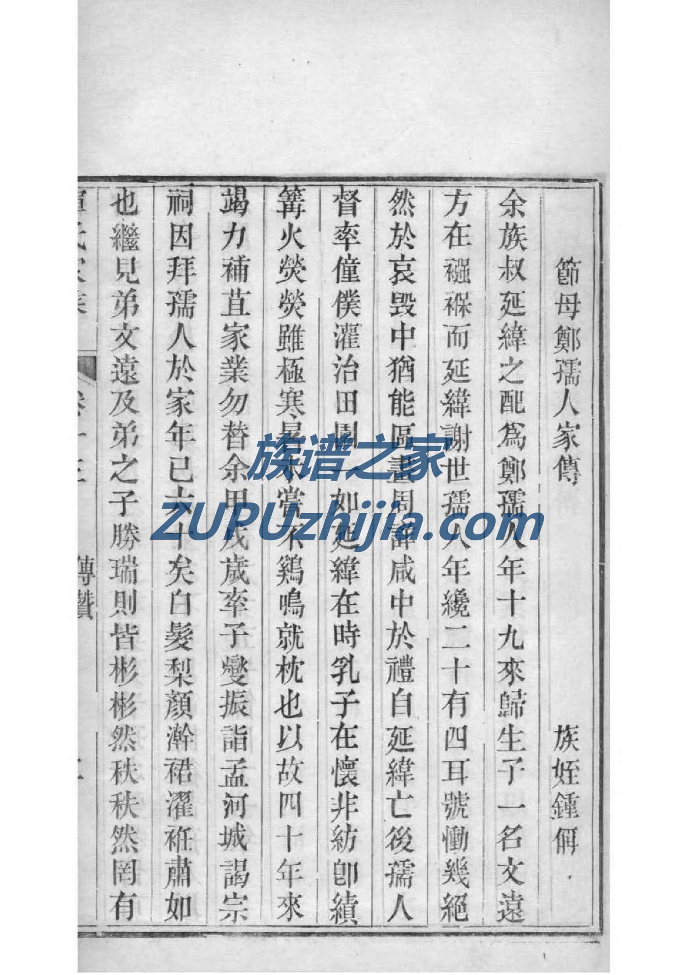 班家族谱查询