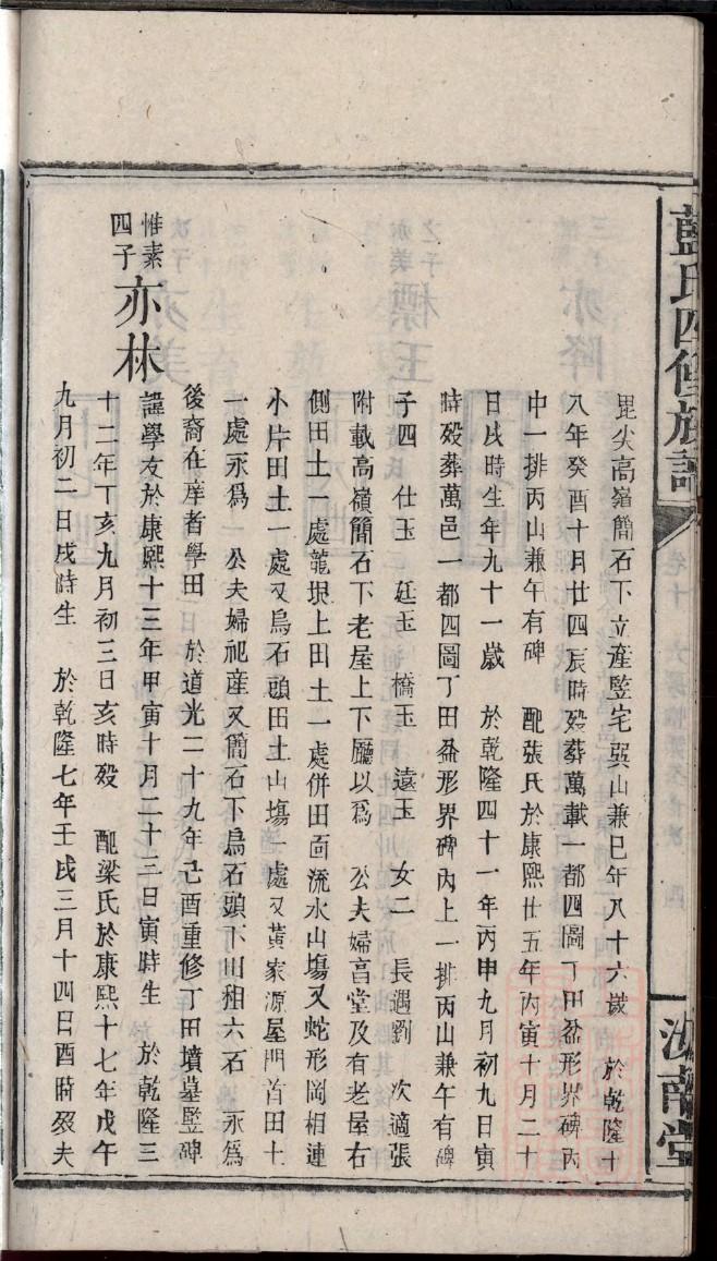 现代家谱范本学生制作