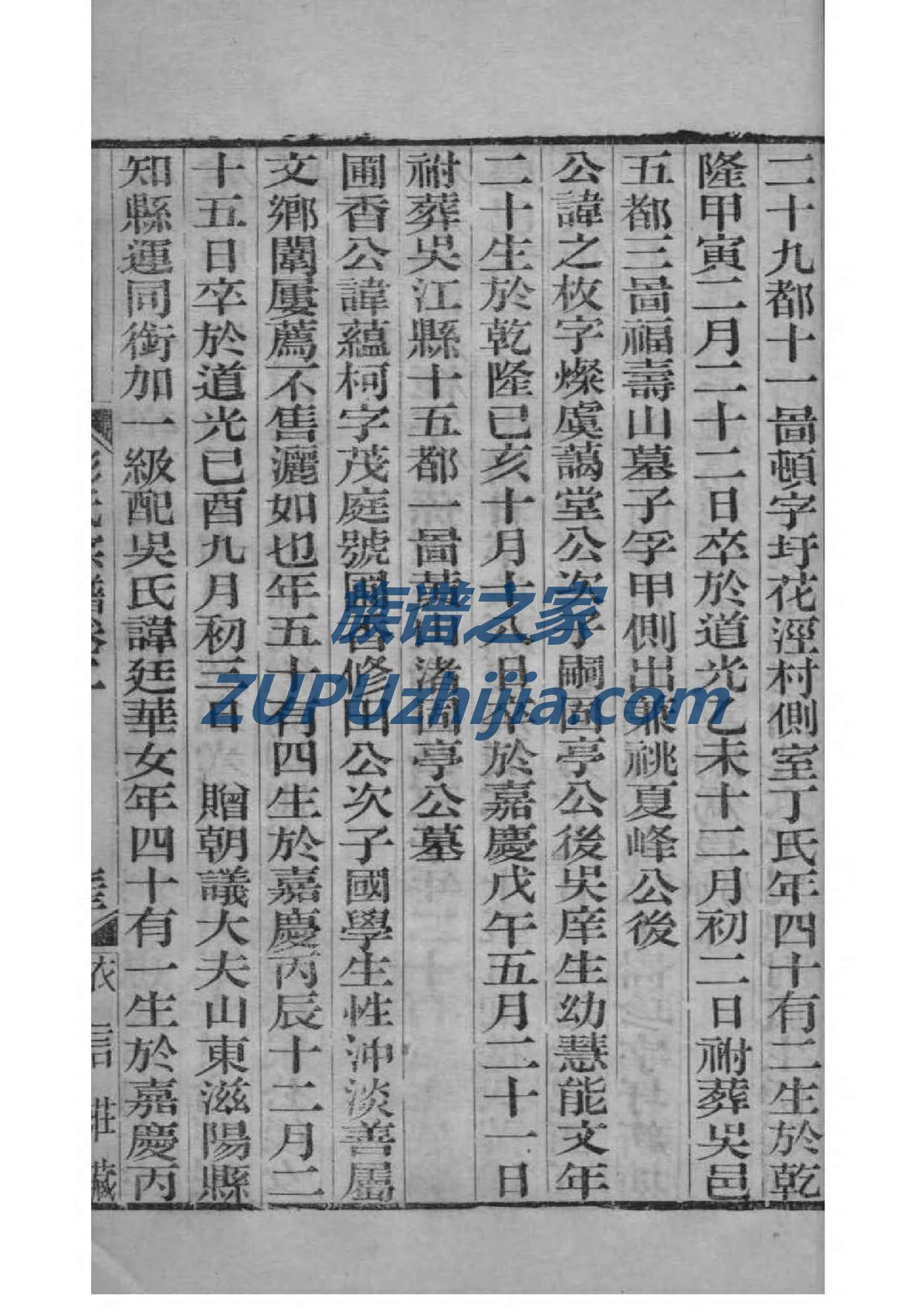 家谱制作模板WORD