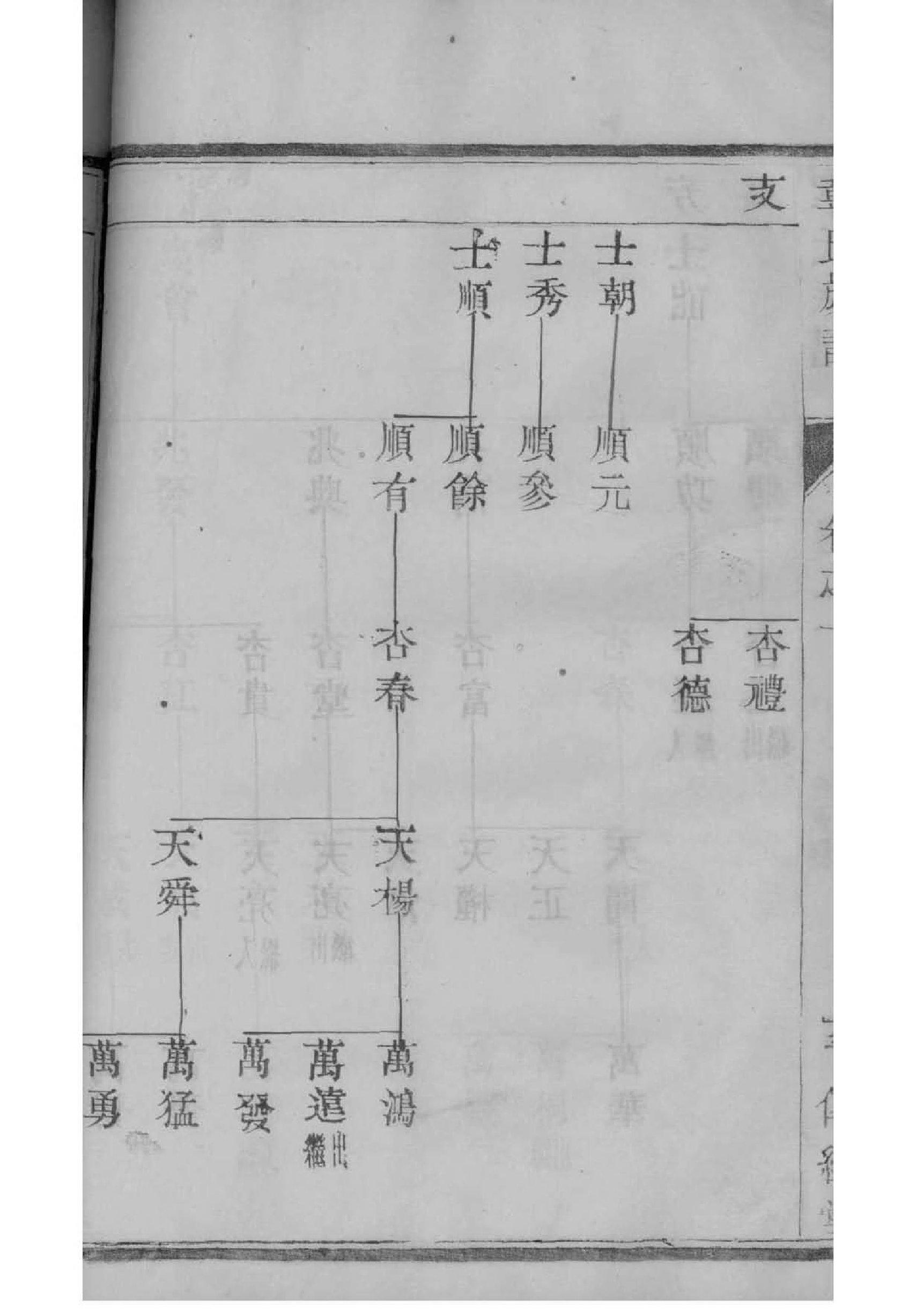 赵家族谱