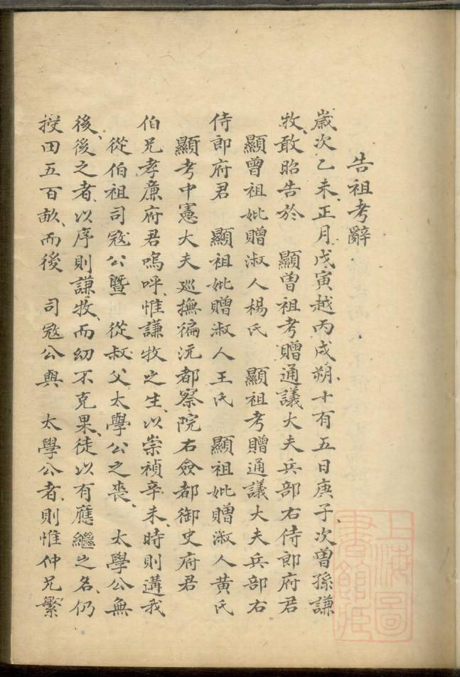 荤家族谱查询