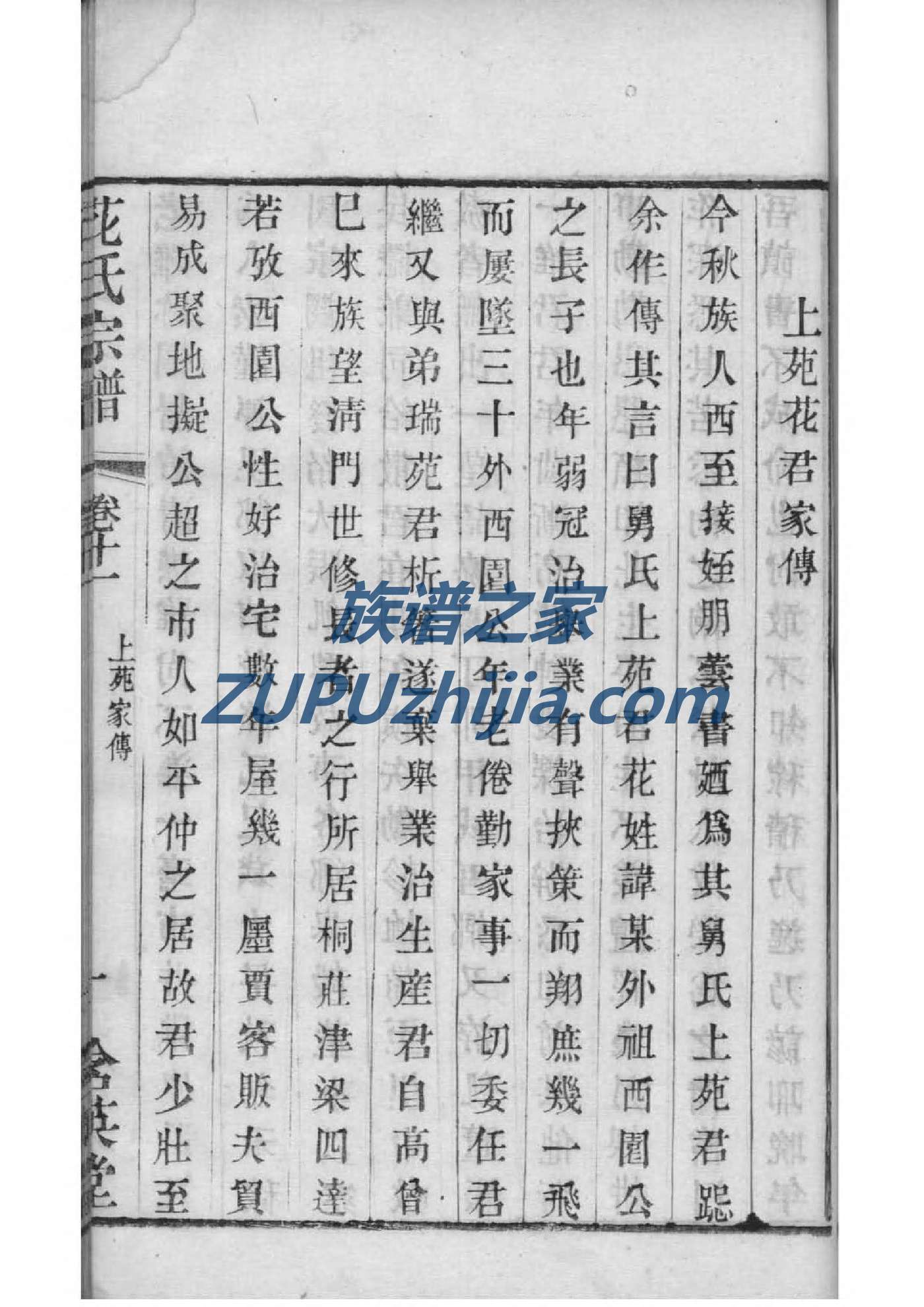 艾氏家谱网
