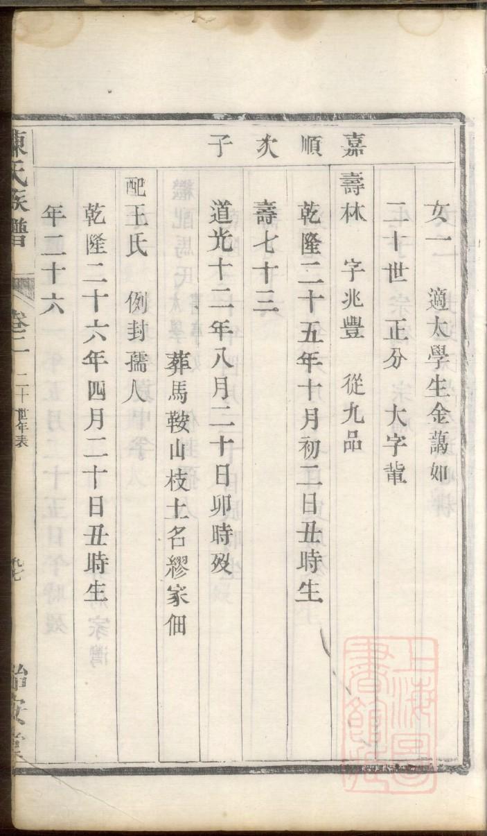 家族族谱图片