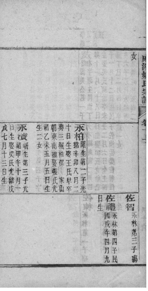 中华杨氏族谱