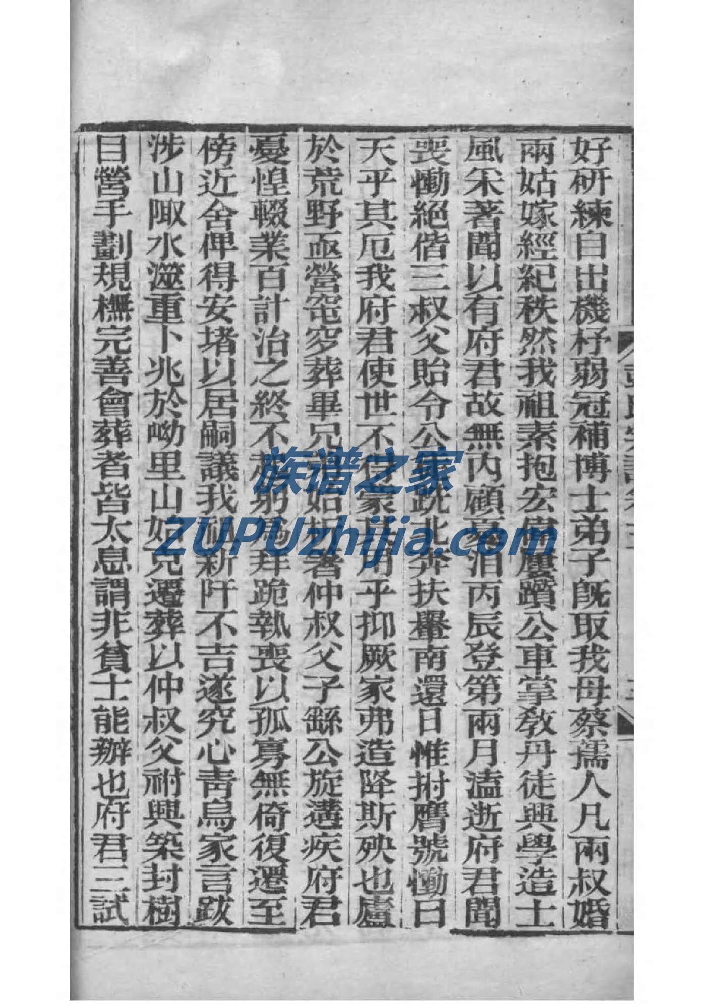 酒井忠次家族谱