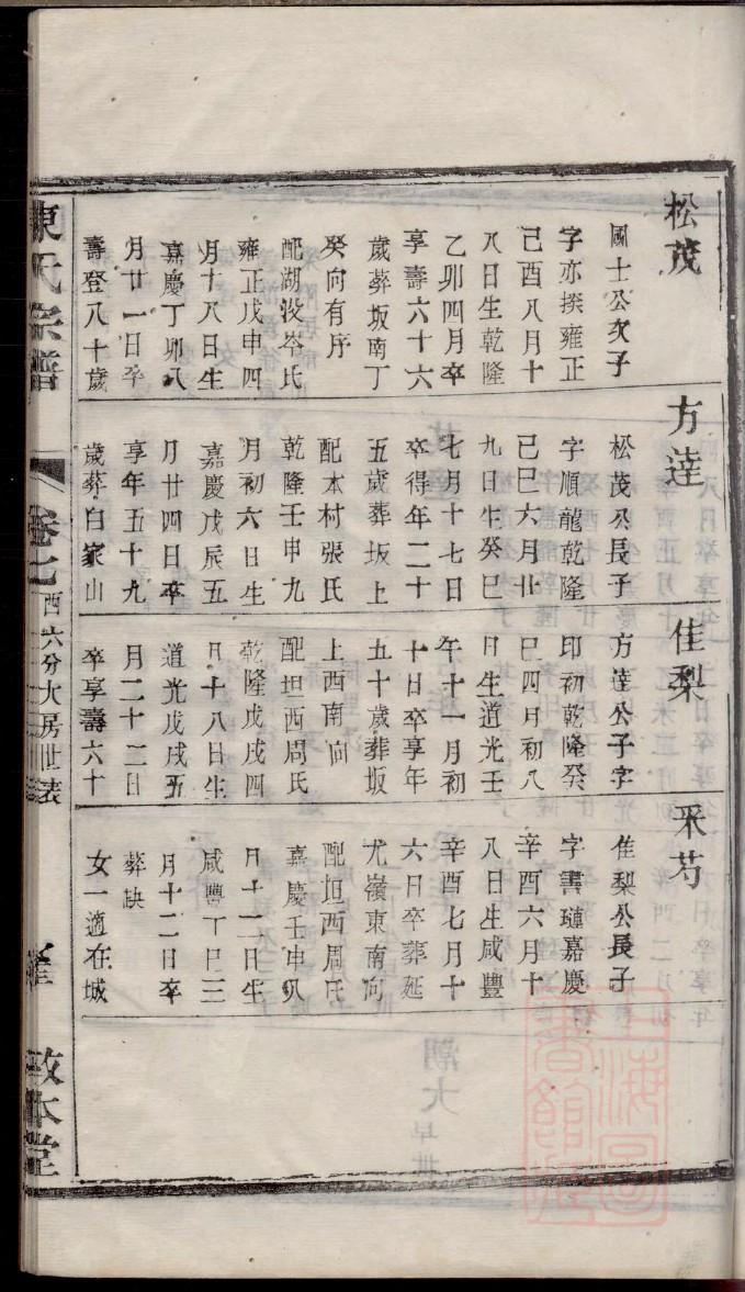 张氏族谱大全