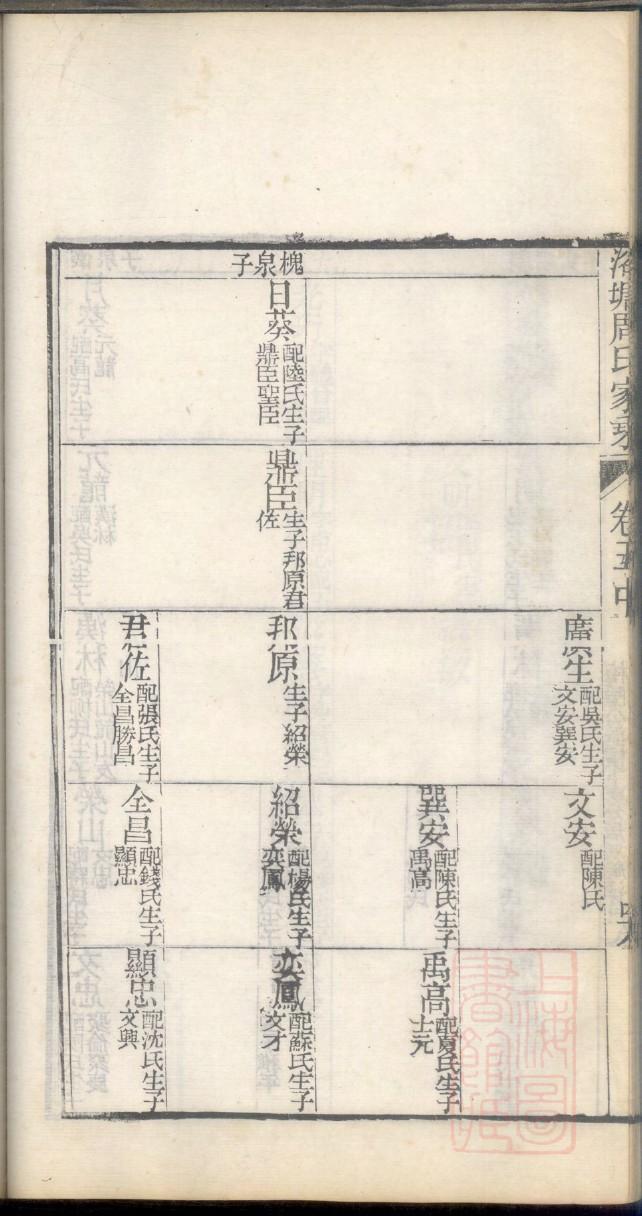 张家族谱查询