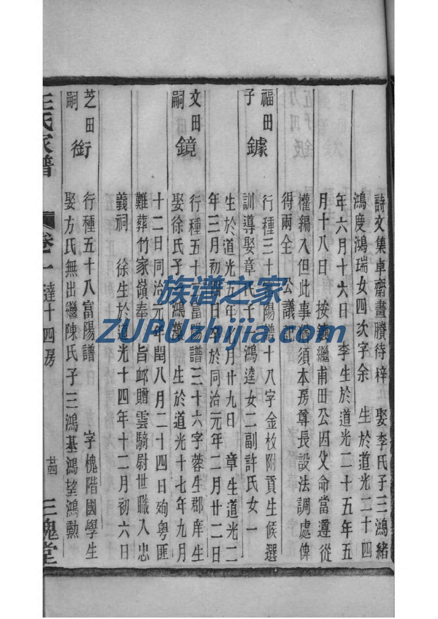 男性族谱登记