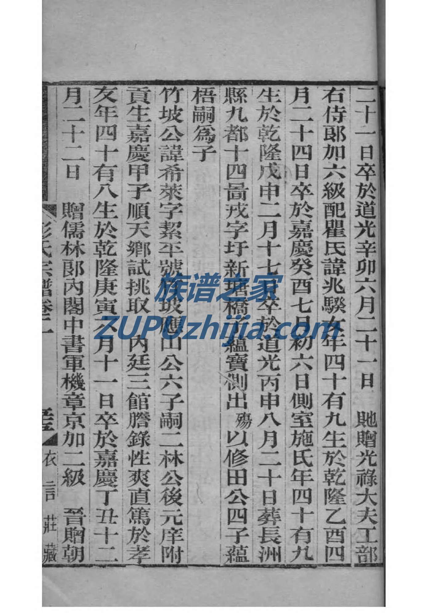 随氏家谱查询