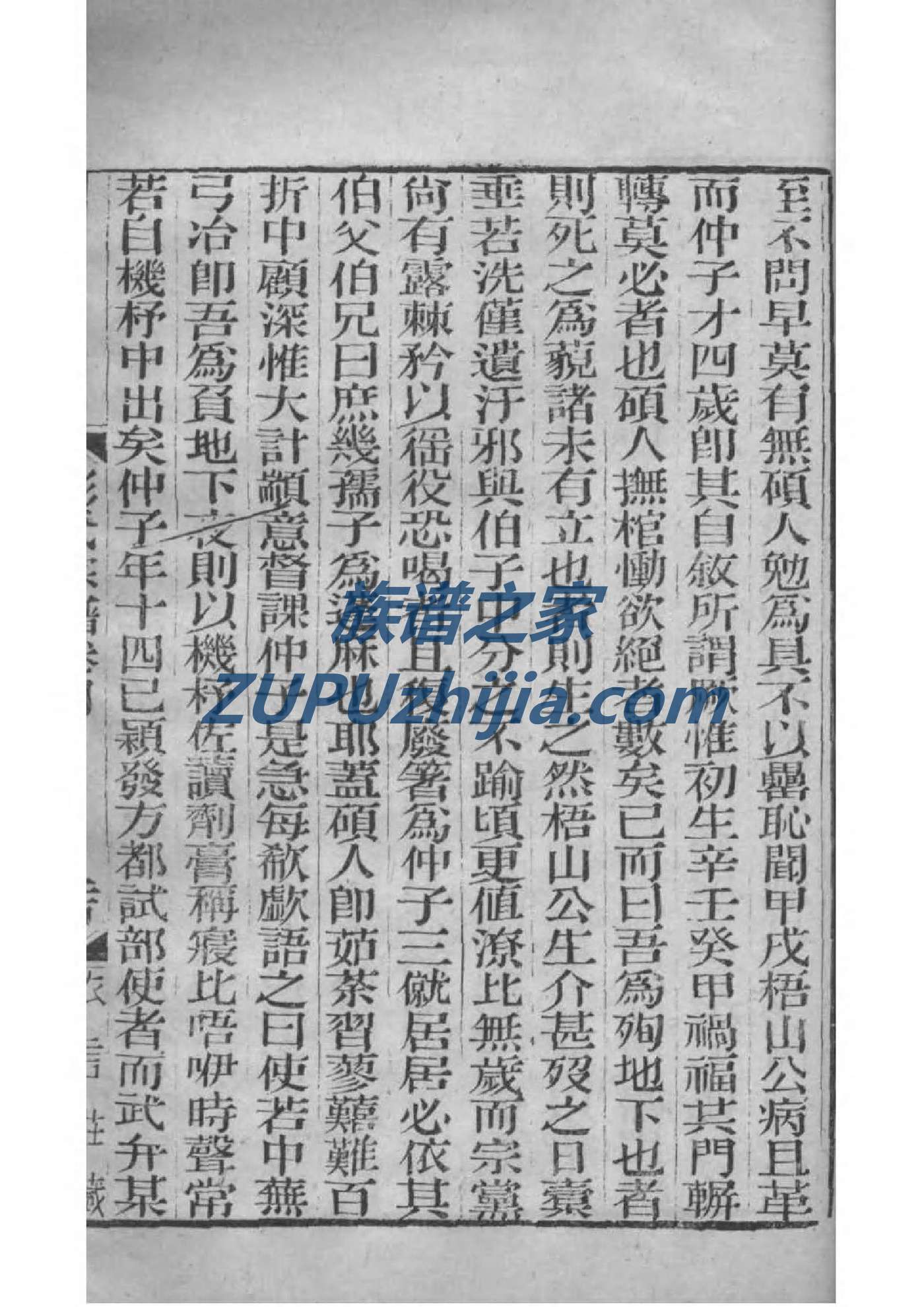 戎姓排辈顺序