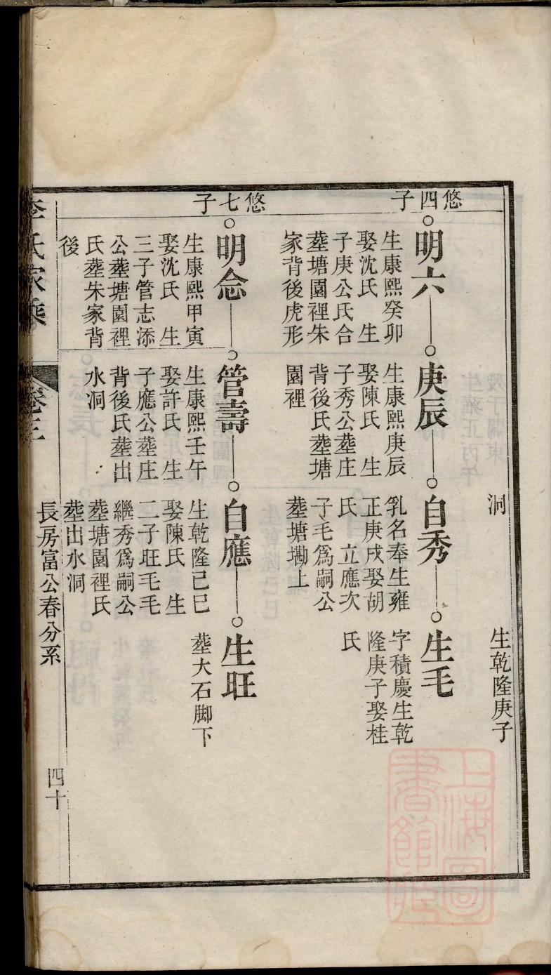 WORD制作家谱