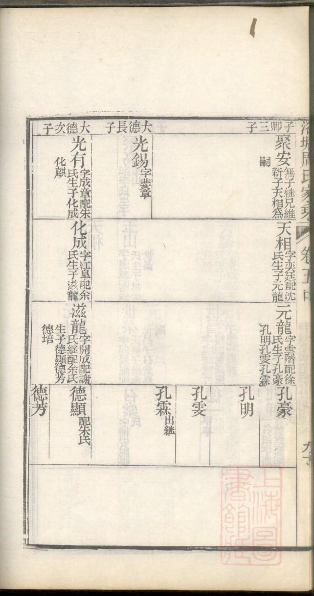 家谱制作模板