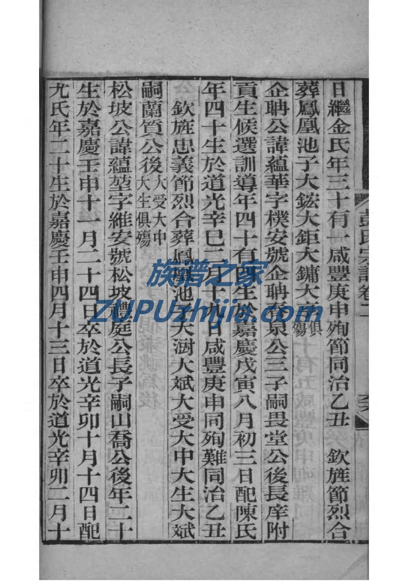 杜家族谱辈分