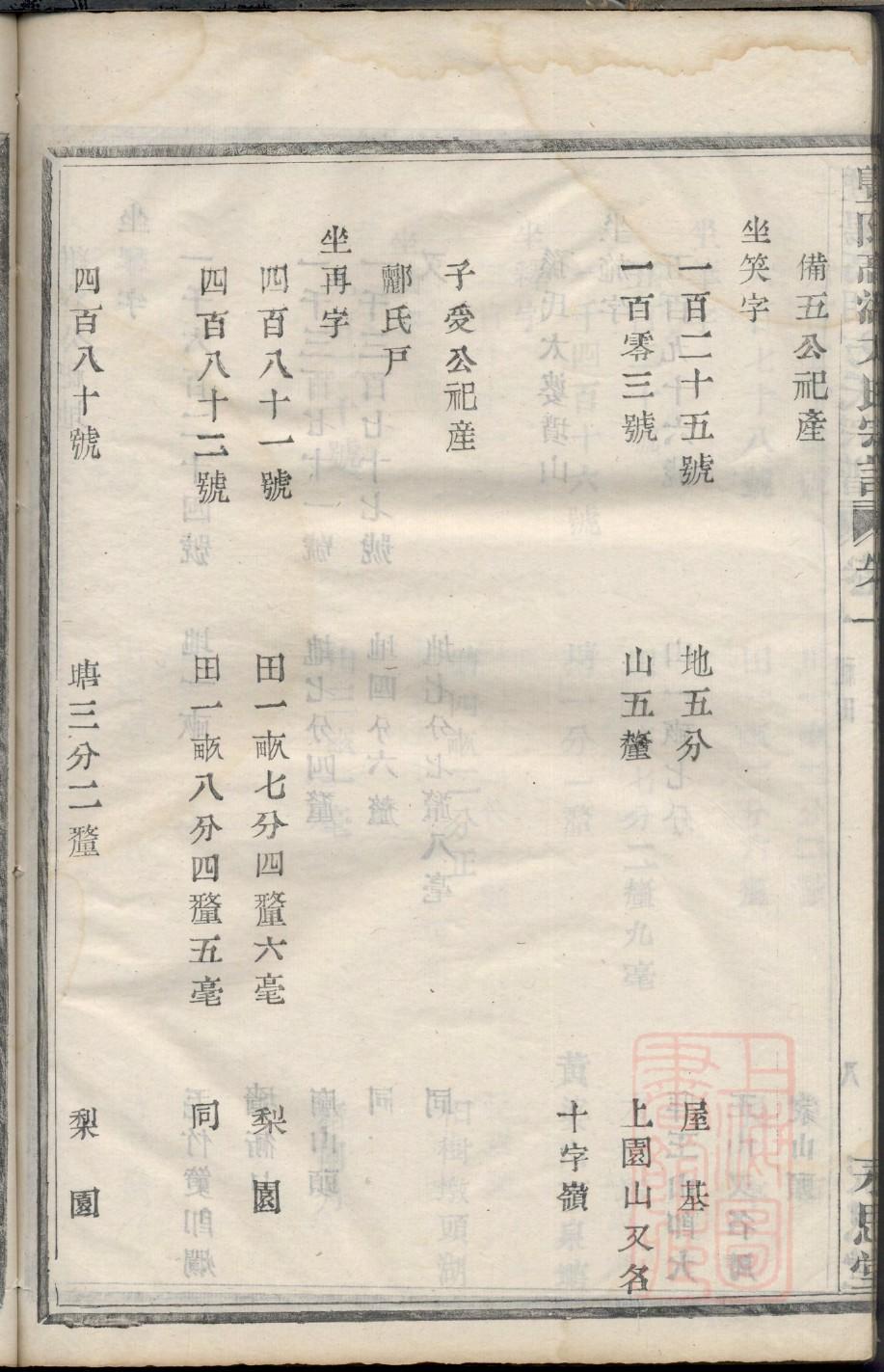 族谱系统
