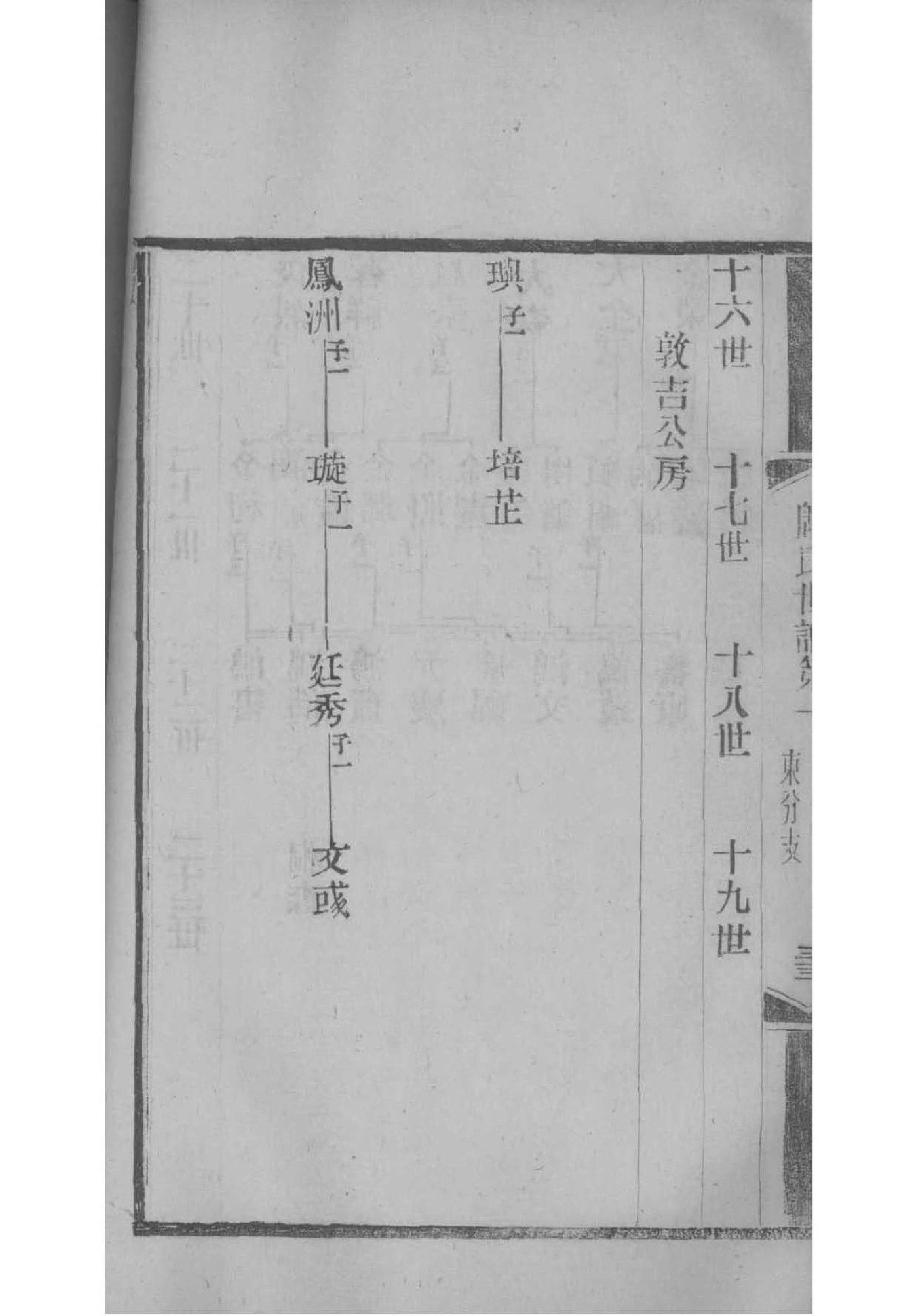 家谱先生破解版