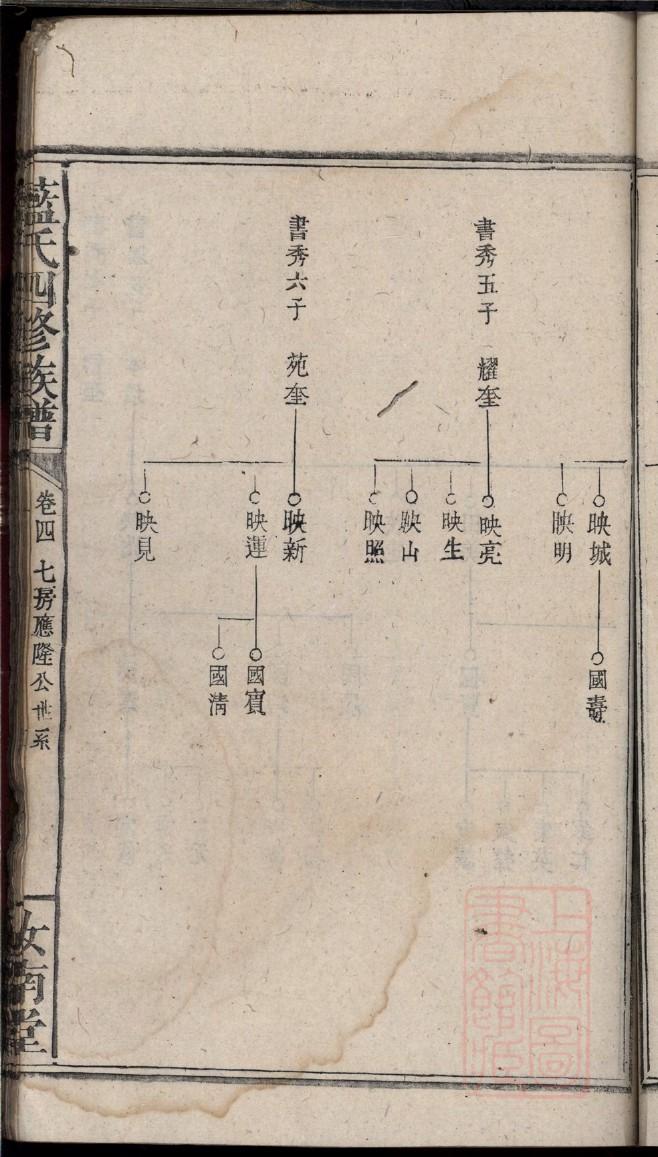 网络家谱
